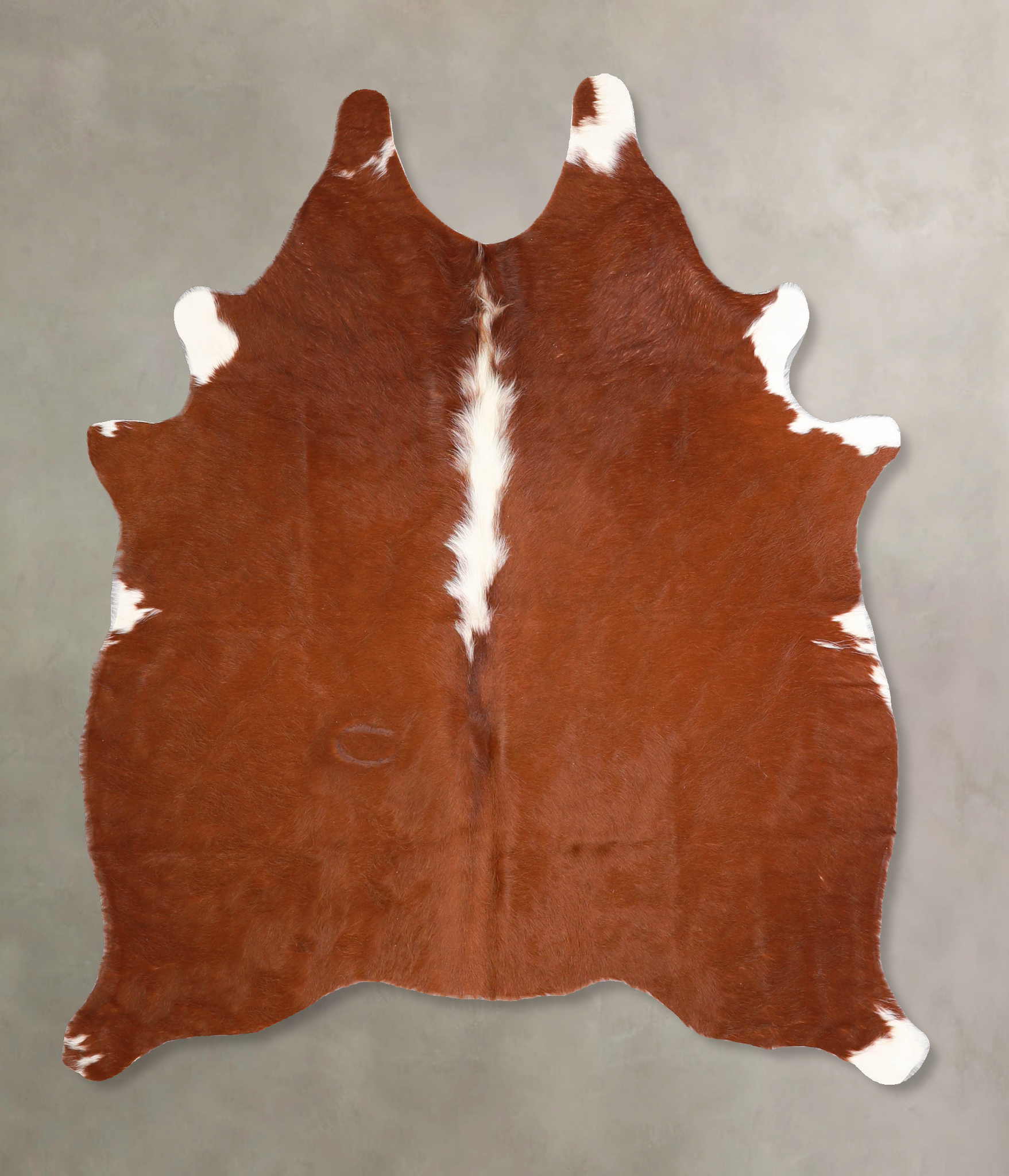 Brown and White Regular Cowhide Rug #A34874