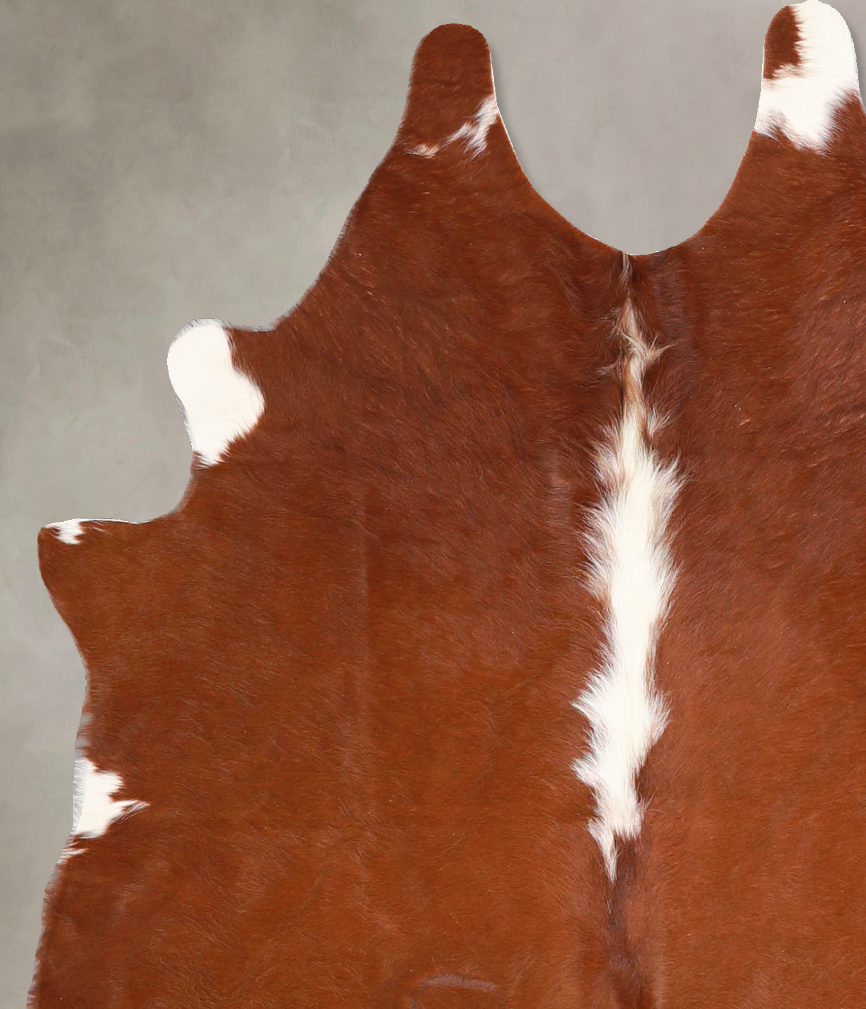 Brown and White Regular Cowhide Rug #A34874