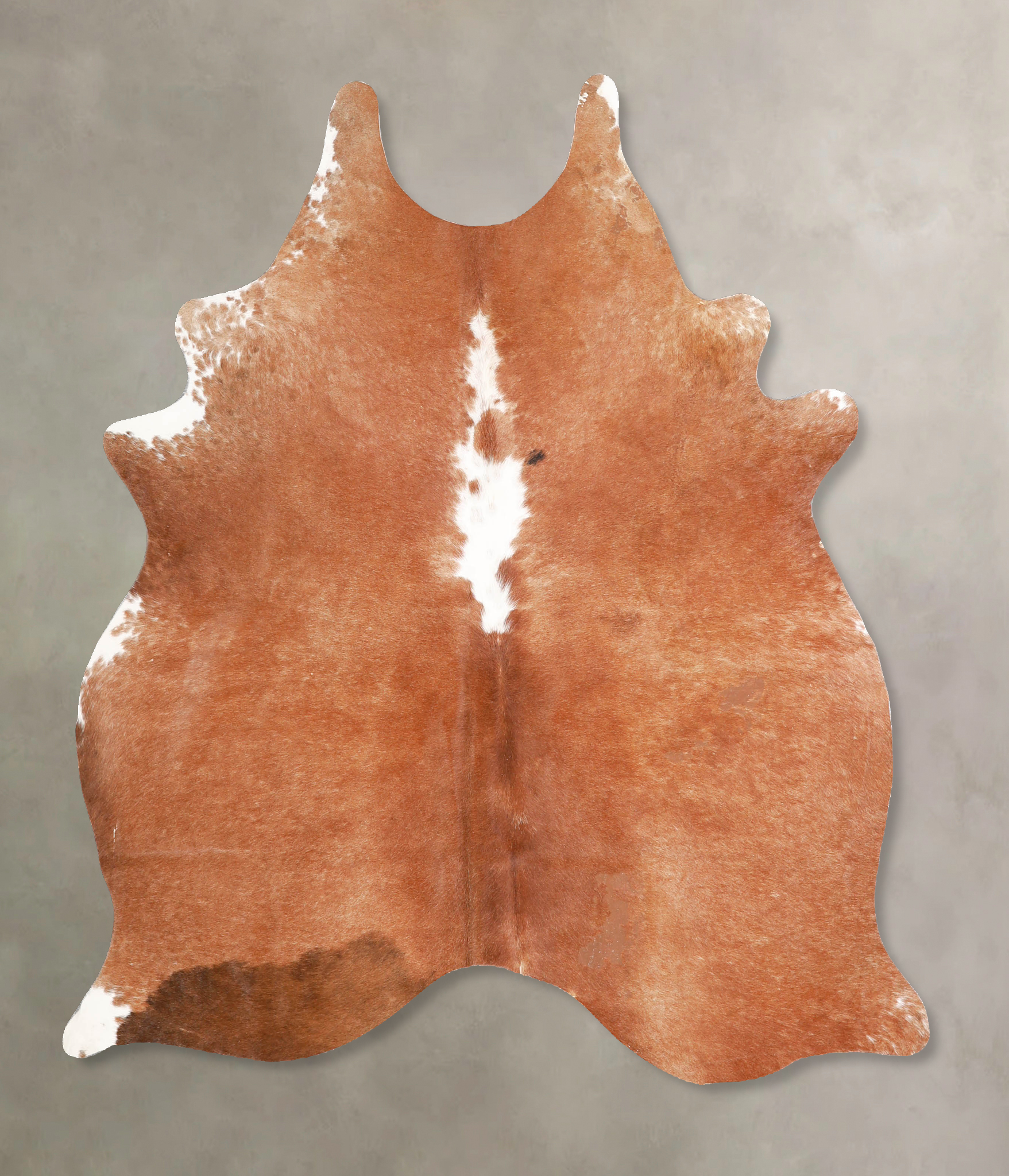 Brown and White Regular Cowhide Rug #A34875