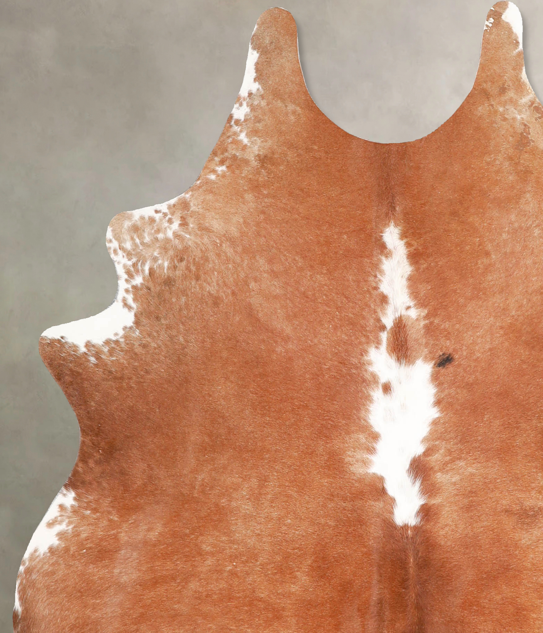 Brown and White Regular Cowhide Rug #A34875