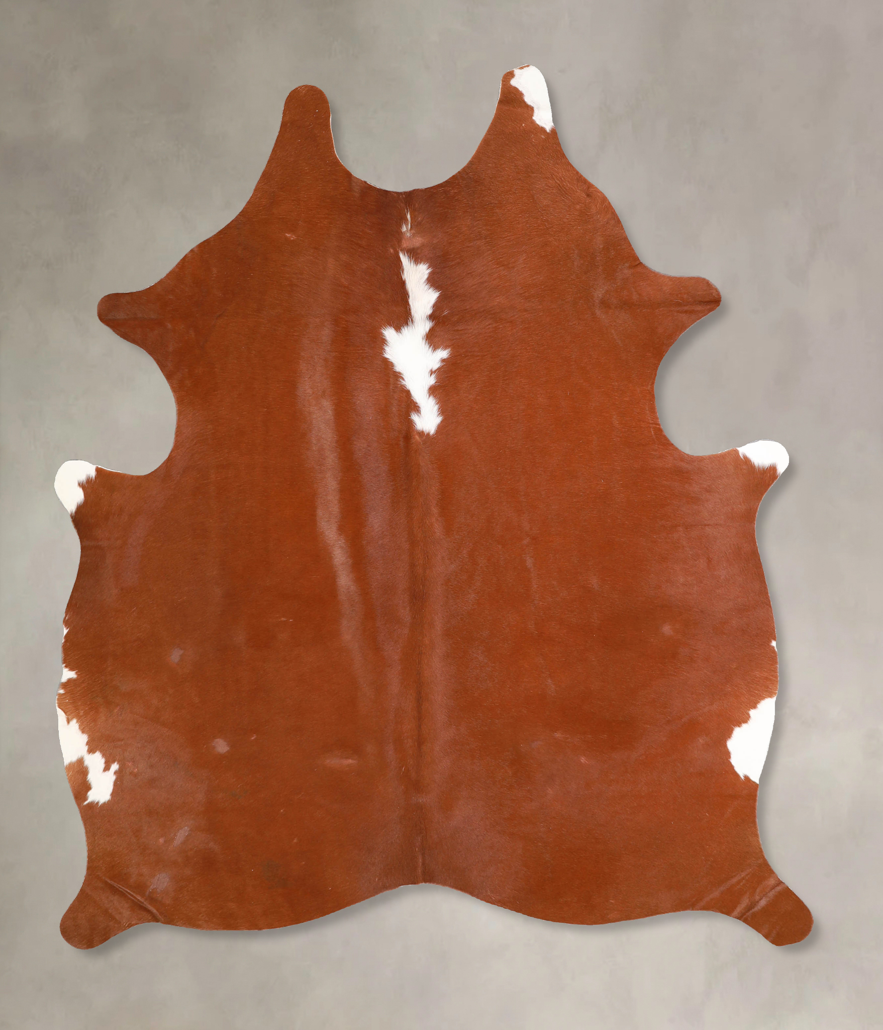 Brown and White Regular Cowhide Rug #A34876