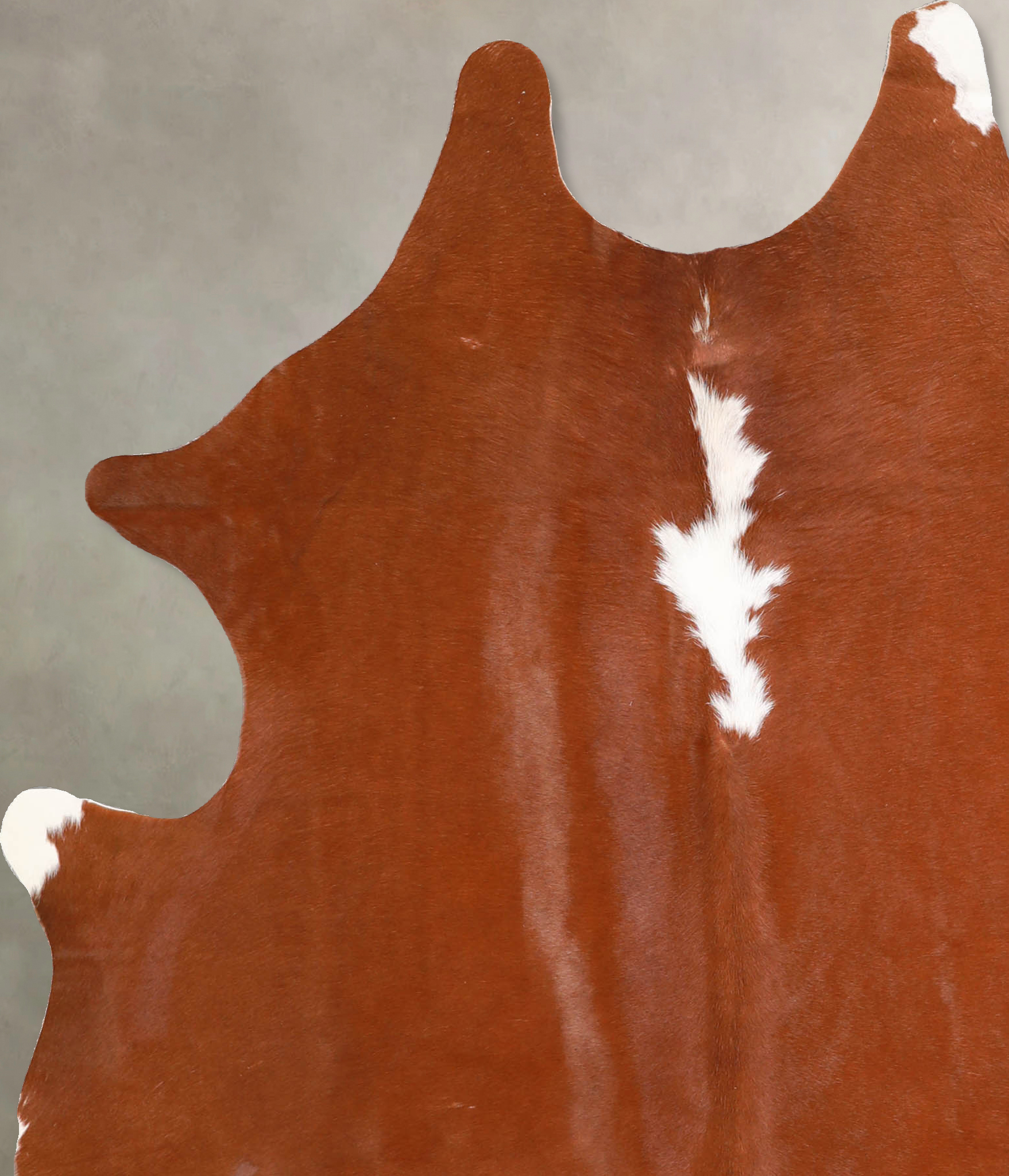 Brown and White Regular Cowhide Rug #A34876