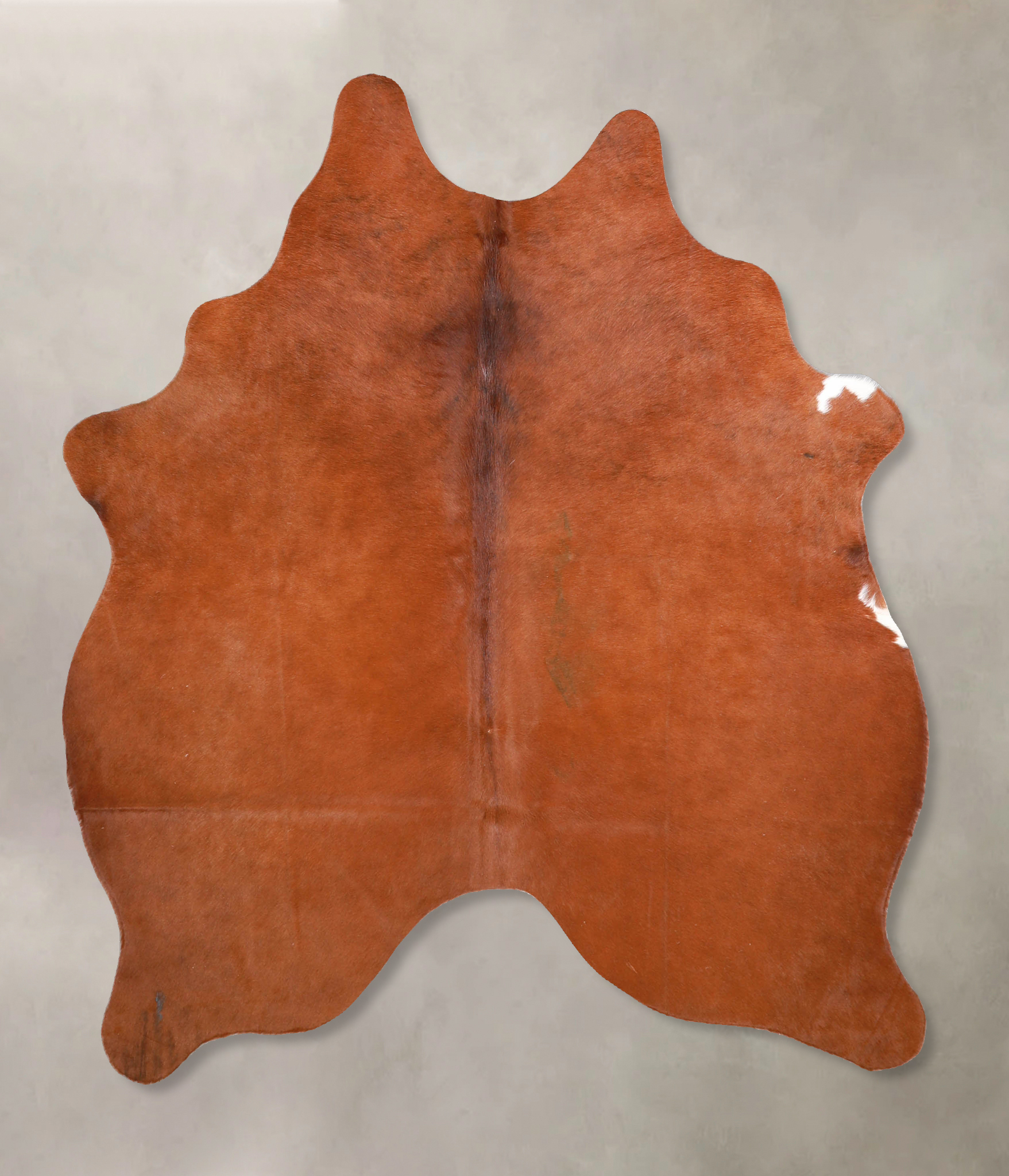 Solid Brown Cowhide Rug #A34879