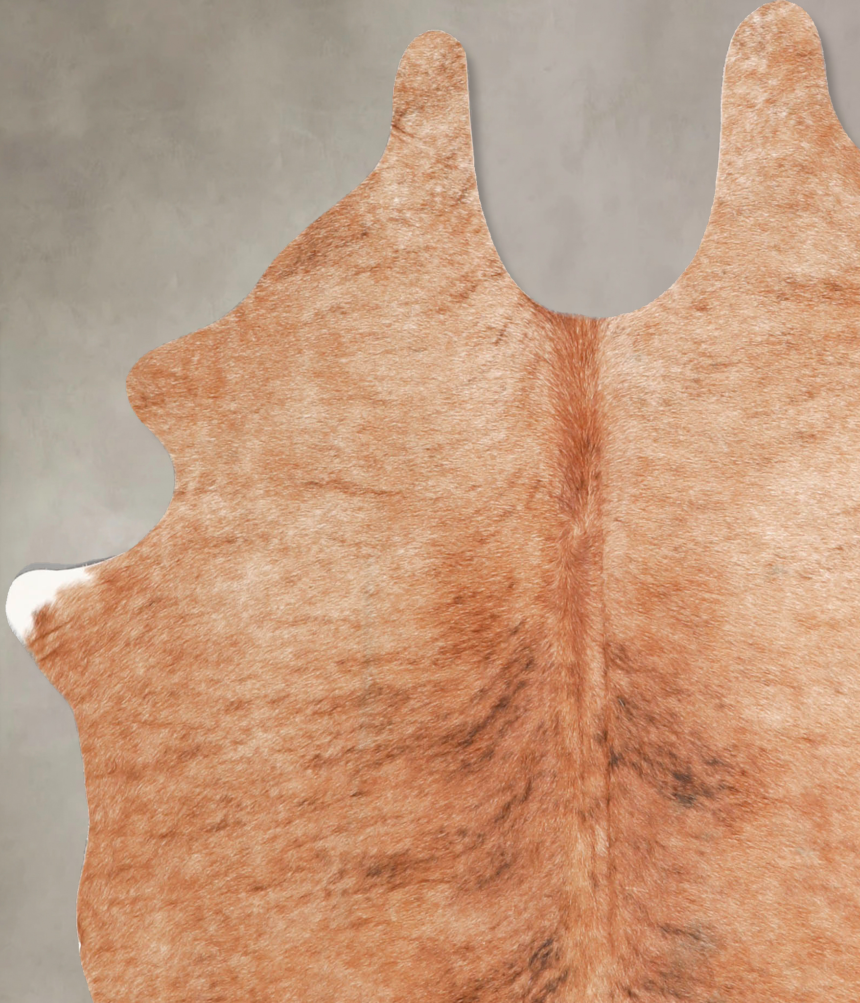 Light Caramel Cowhide Rug #A34885