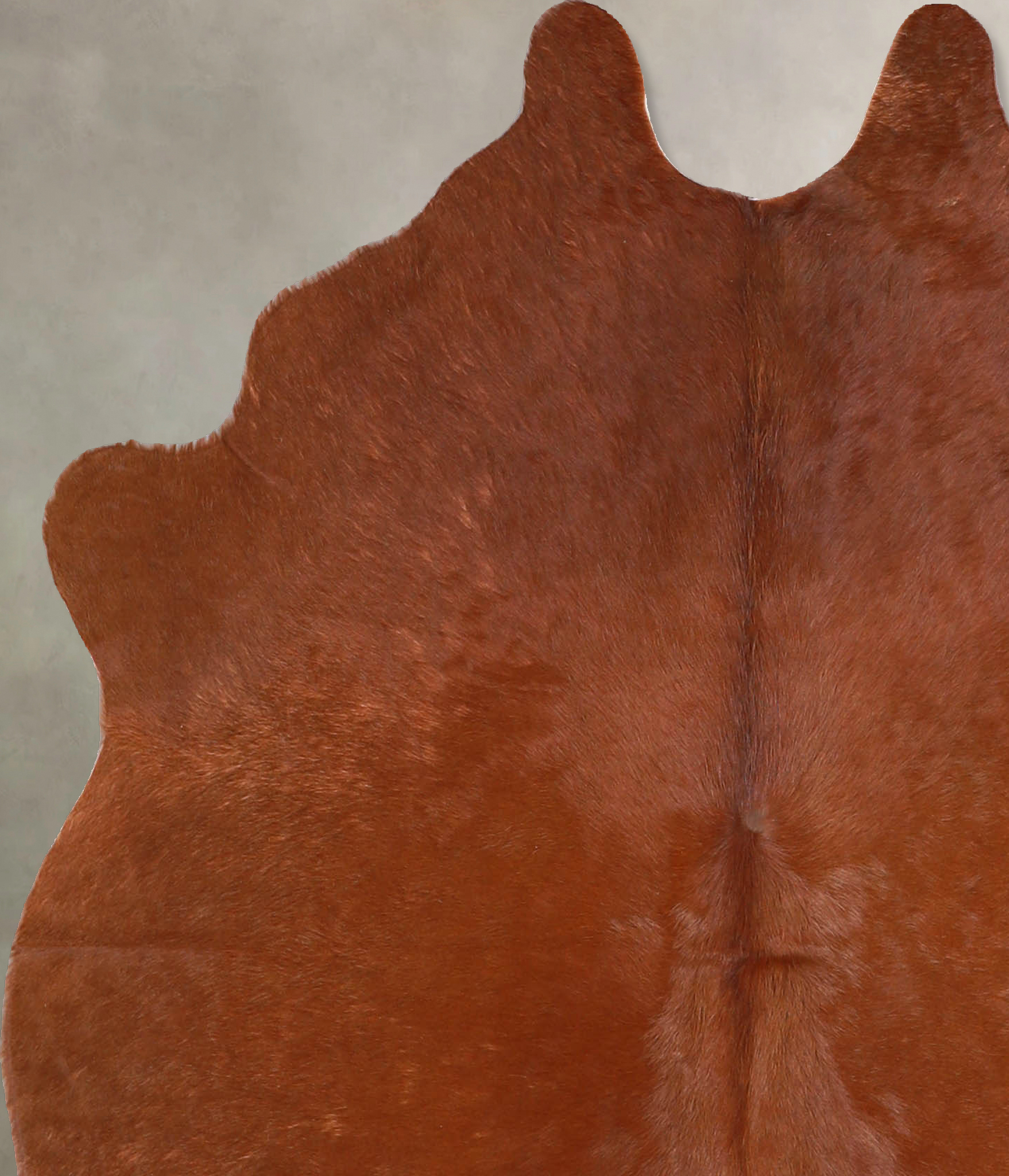 Solid Brown Cowhide Rug #A34888