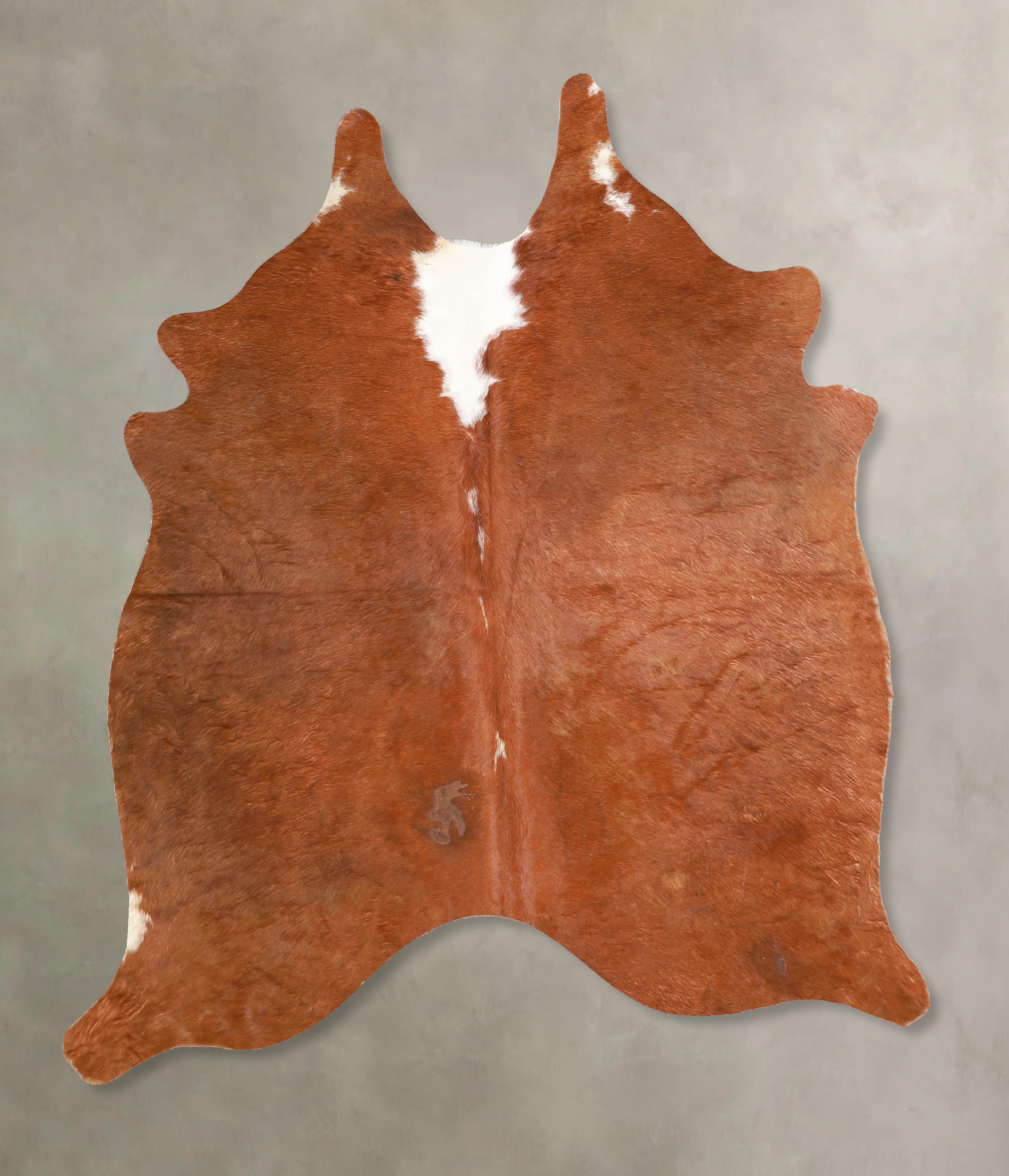 Brown and White Regular Cowhide Rug #A34889