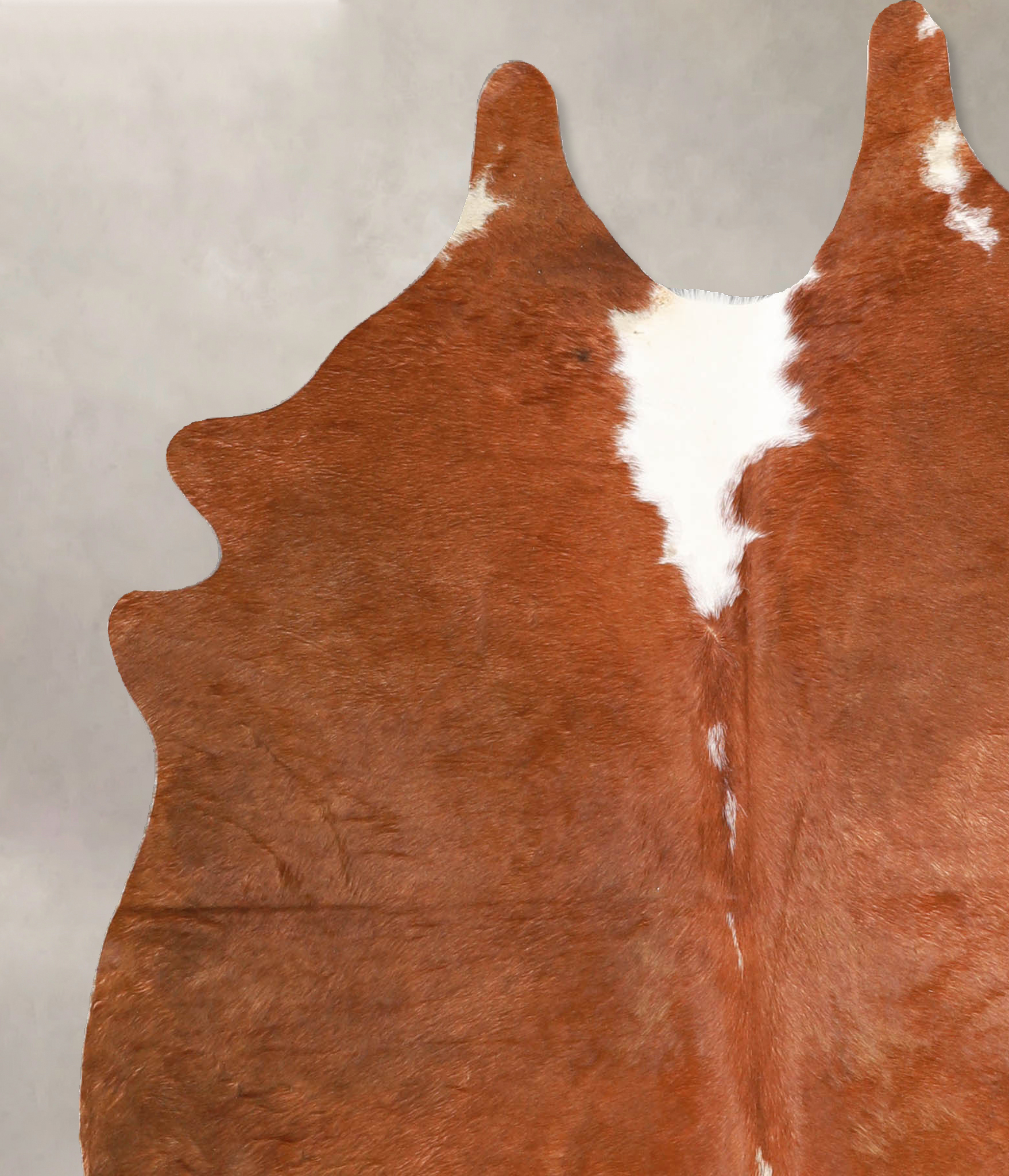 Brown and White Regular Cowhide Rug #A34889