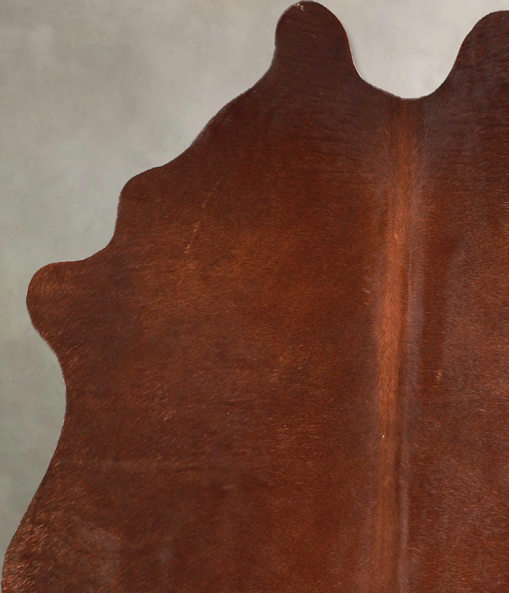 Solid Brown Cowhide Rug #A34890