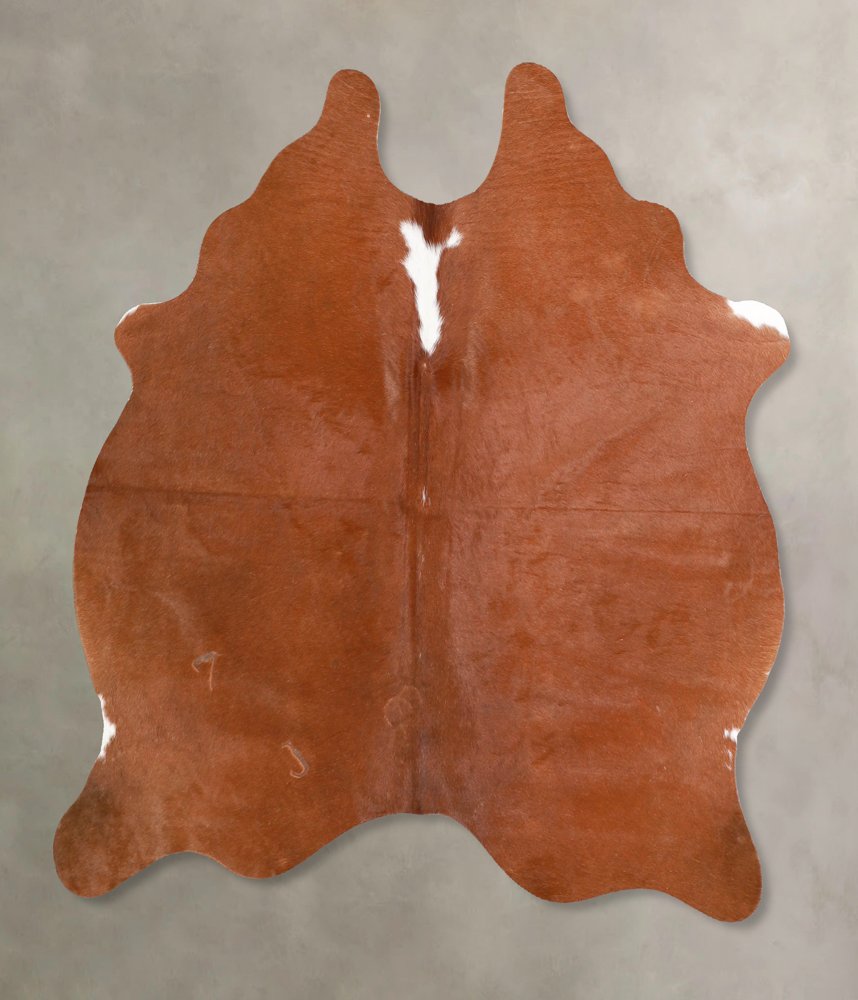 Solid Brown Cowhide Rug #A34891