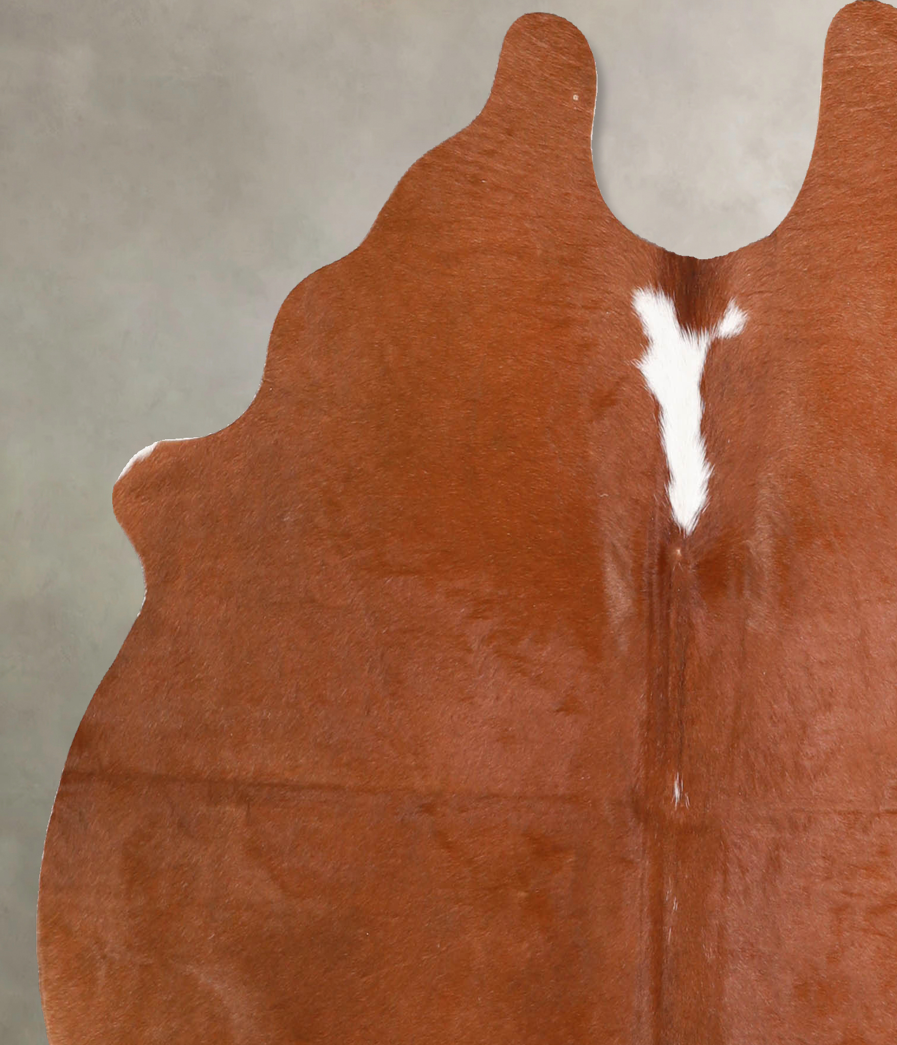 Solid Brown Cowhide Rug #A34891