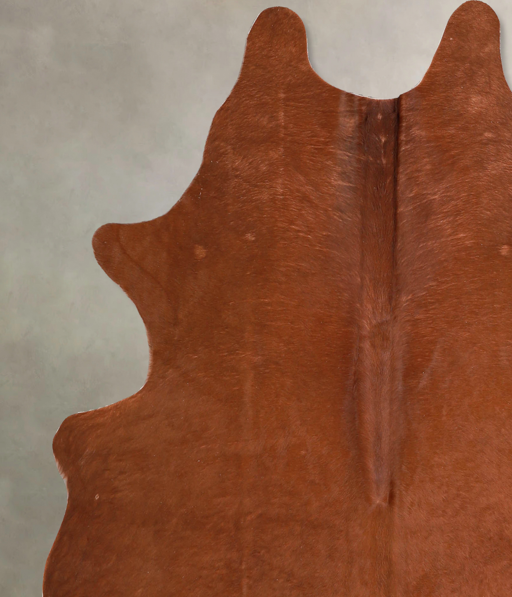 Solid Brown Cowhide Rug #A34894