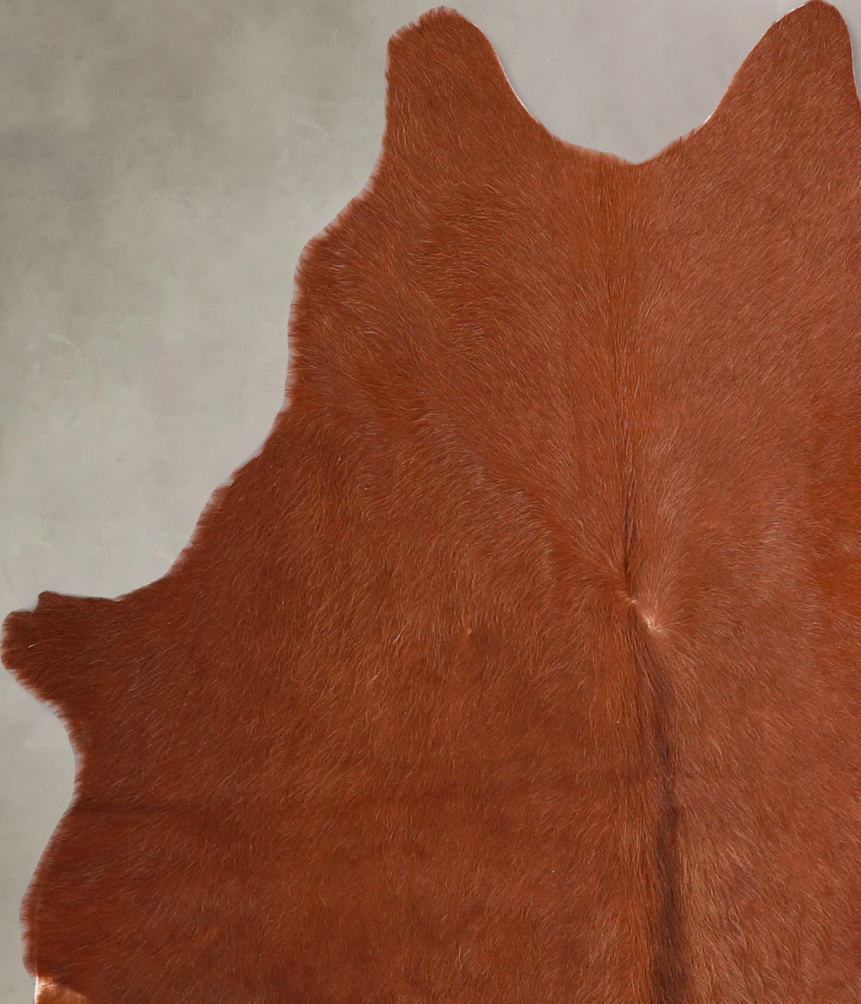 Solid Brown Cowhide Rug #A34895