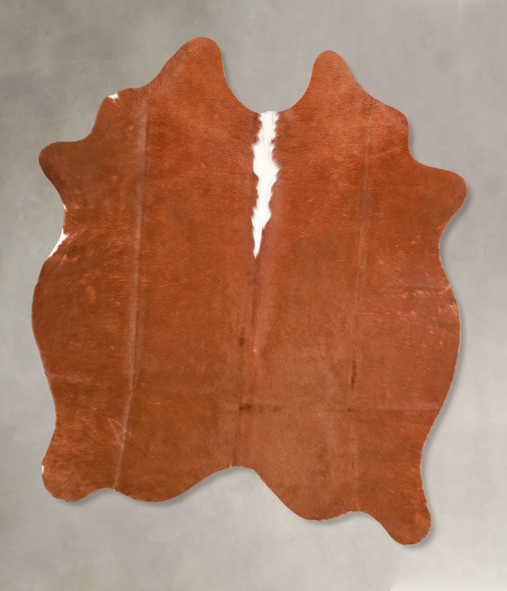 Brown and White Regular Cowhide Rug #A34896