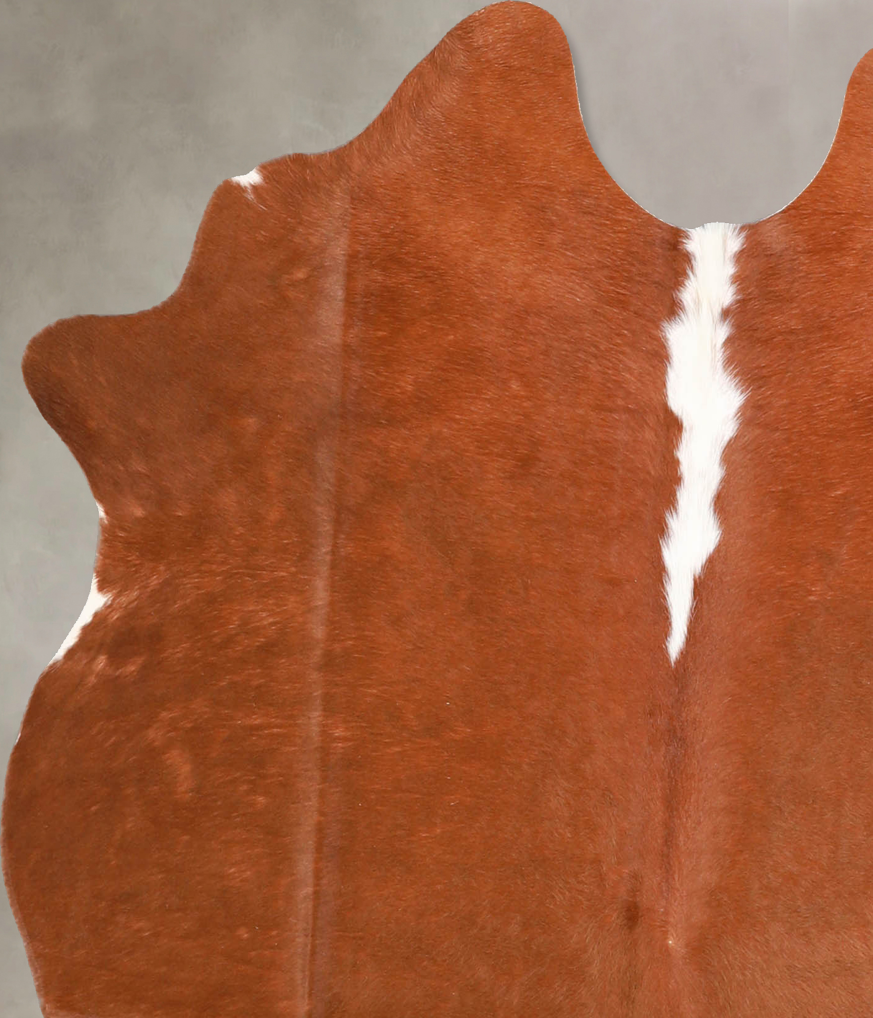 Brown and White Regular Cowhide Rug #A34896