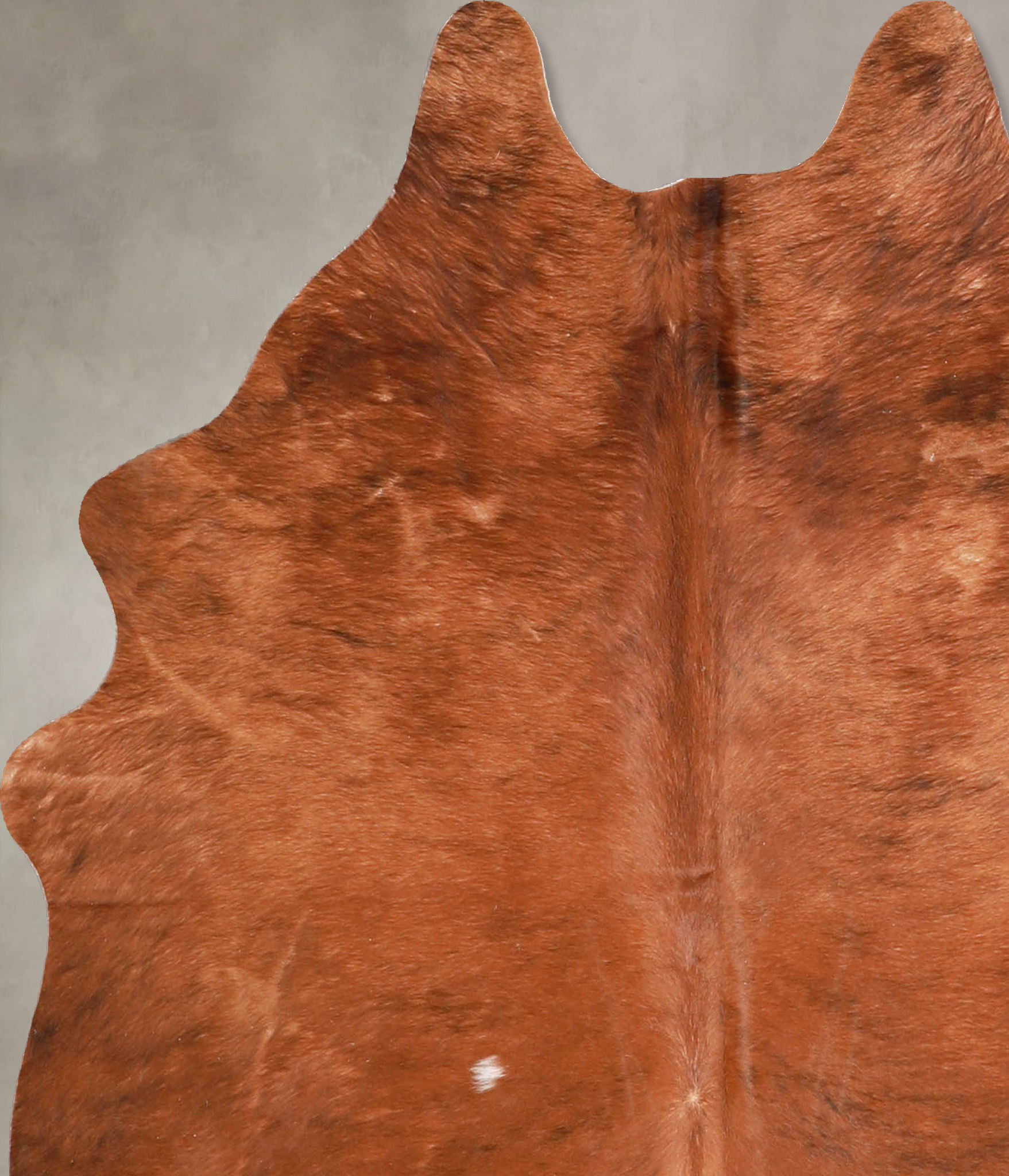 Solid Brown Cowhide Rug #A34905