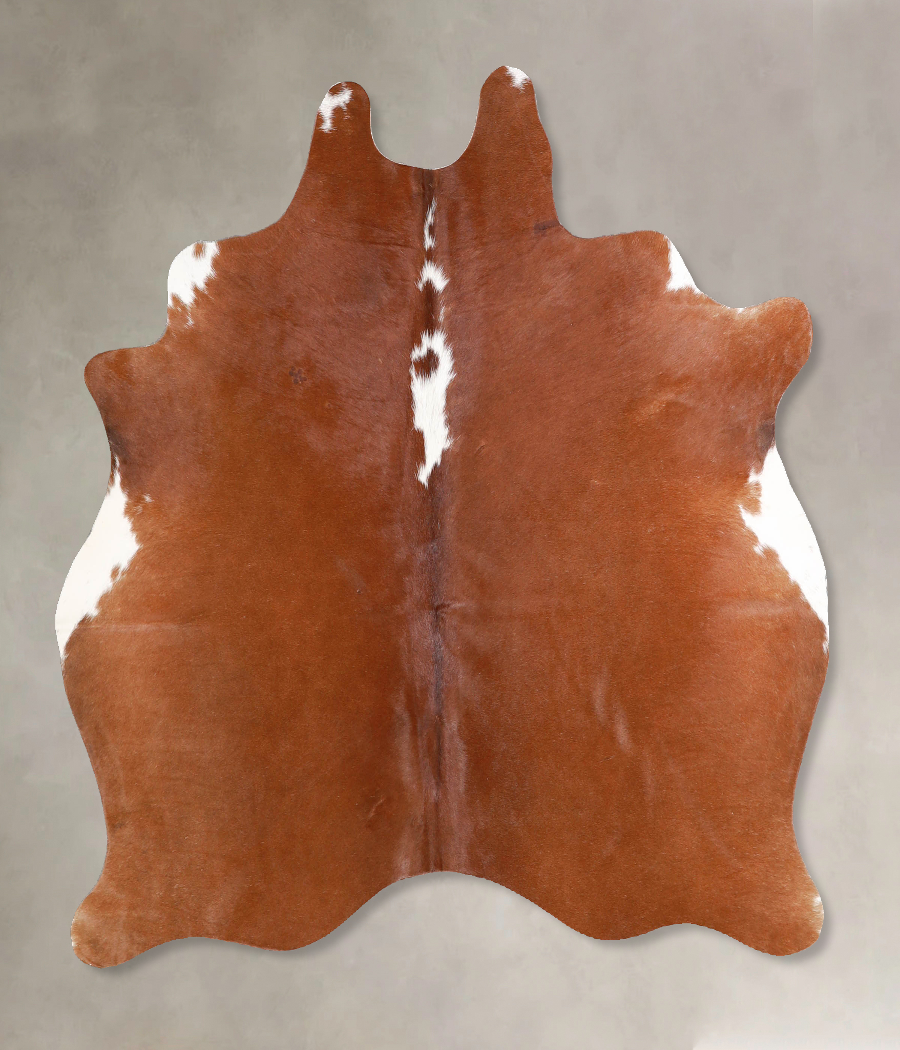 Brown and White Regular Cowhide Rug #A34906