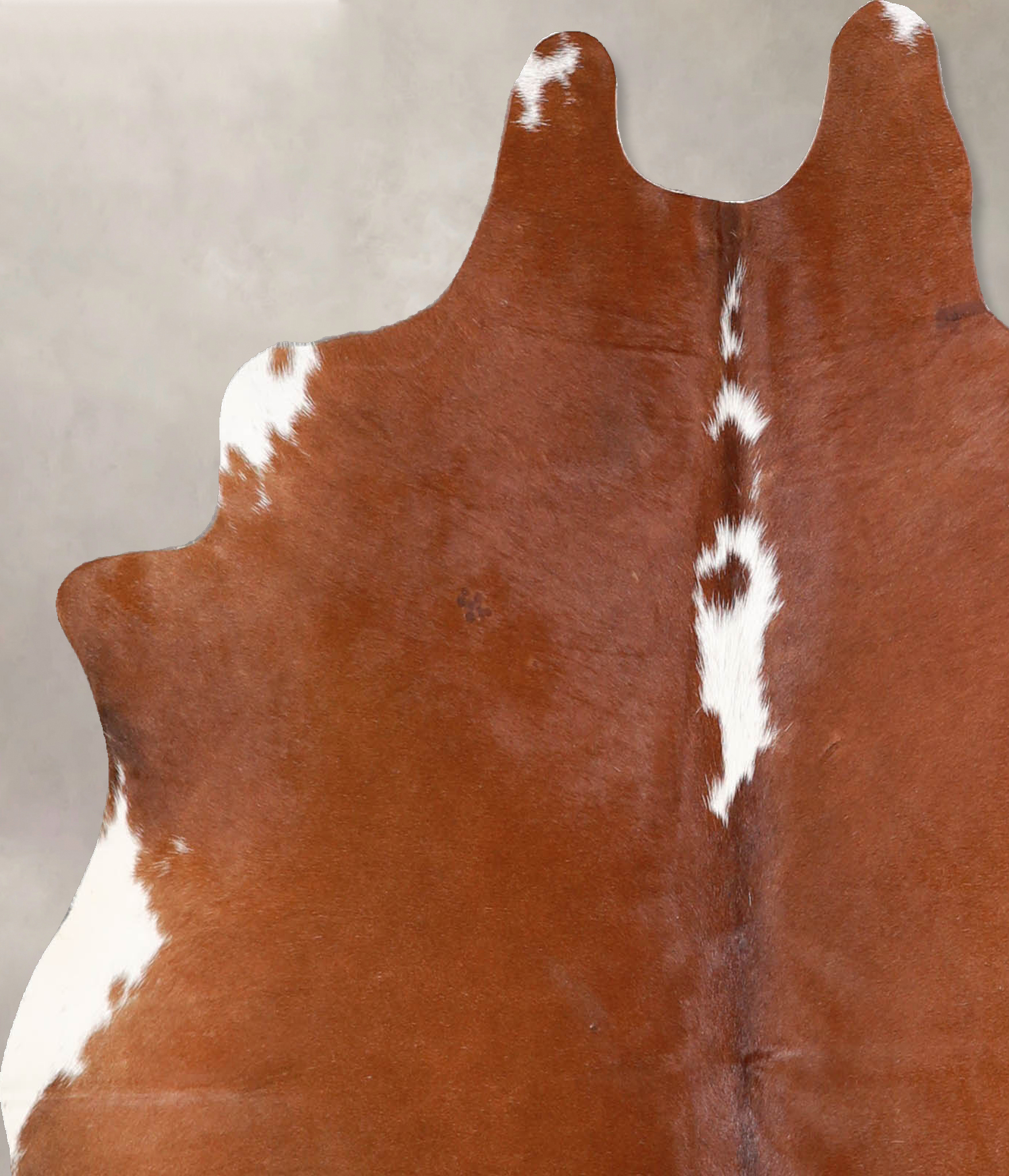 Brown and White Regular Cowhide Rug #A34906