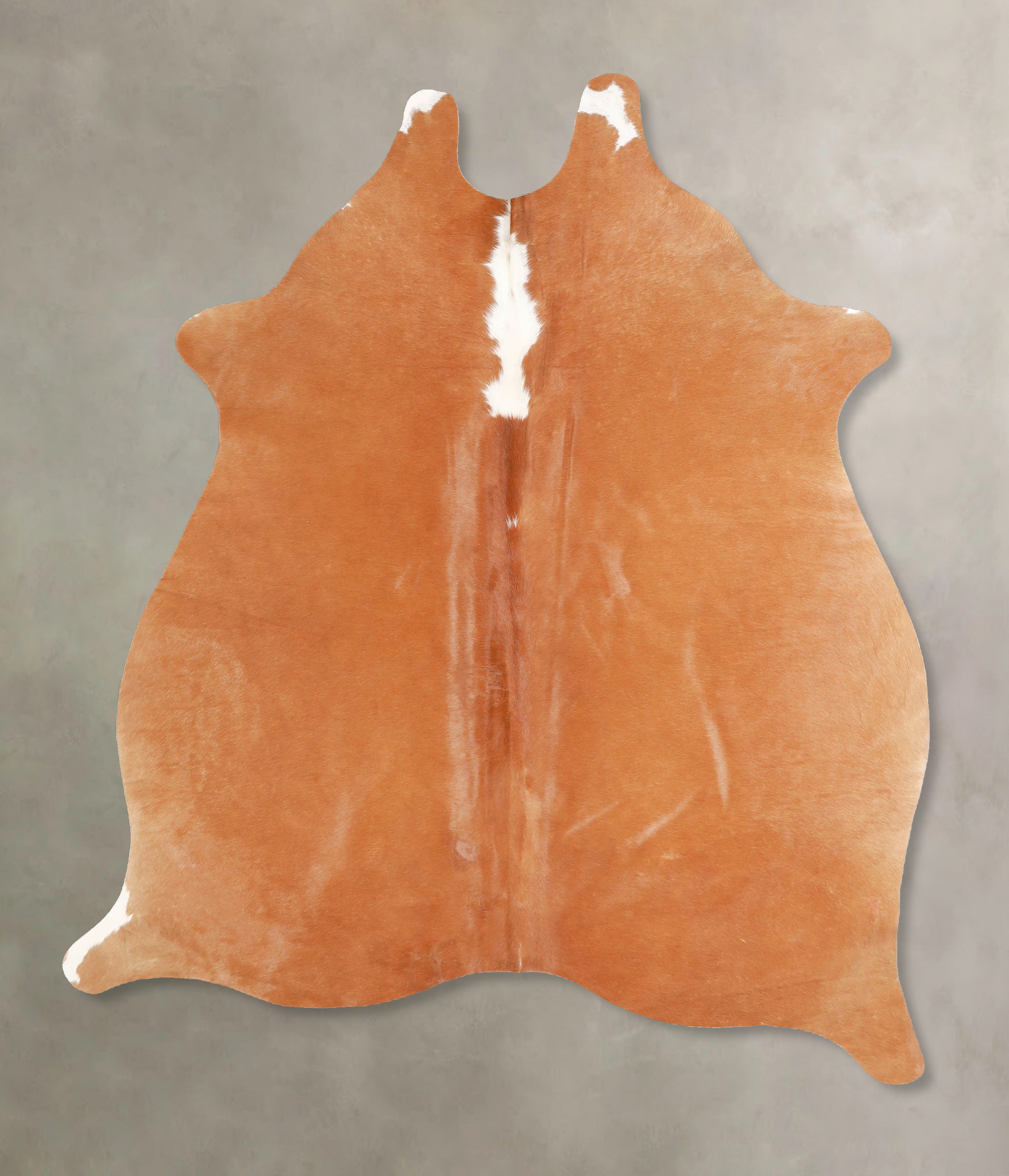 Brown and White Regular Cowhide Rug #A34913