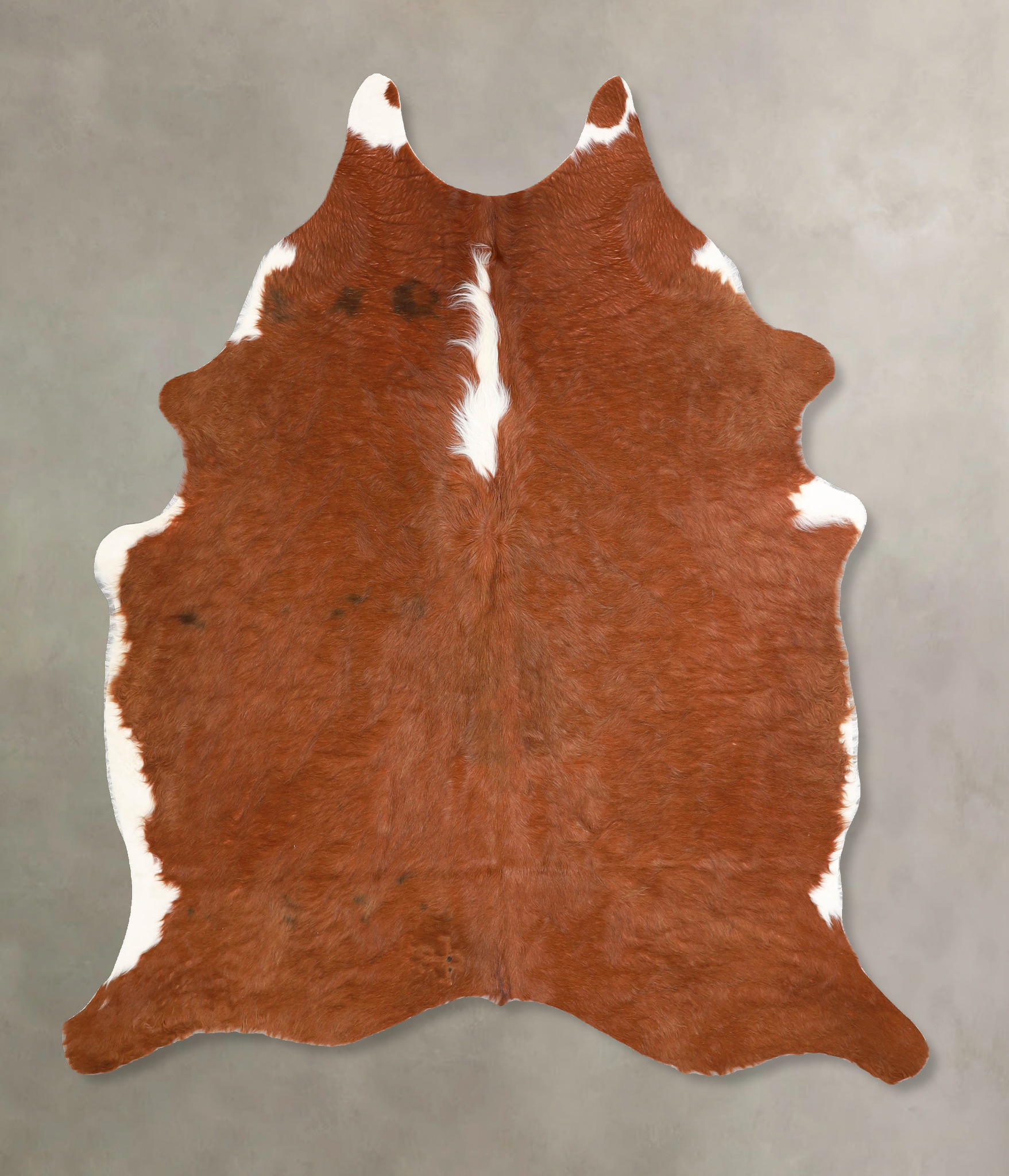 Brown and White Regular Cowhide Rug #A34918