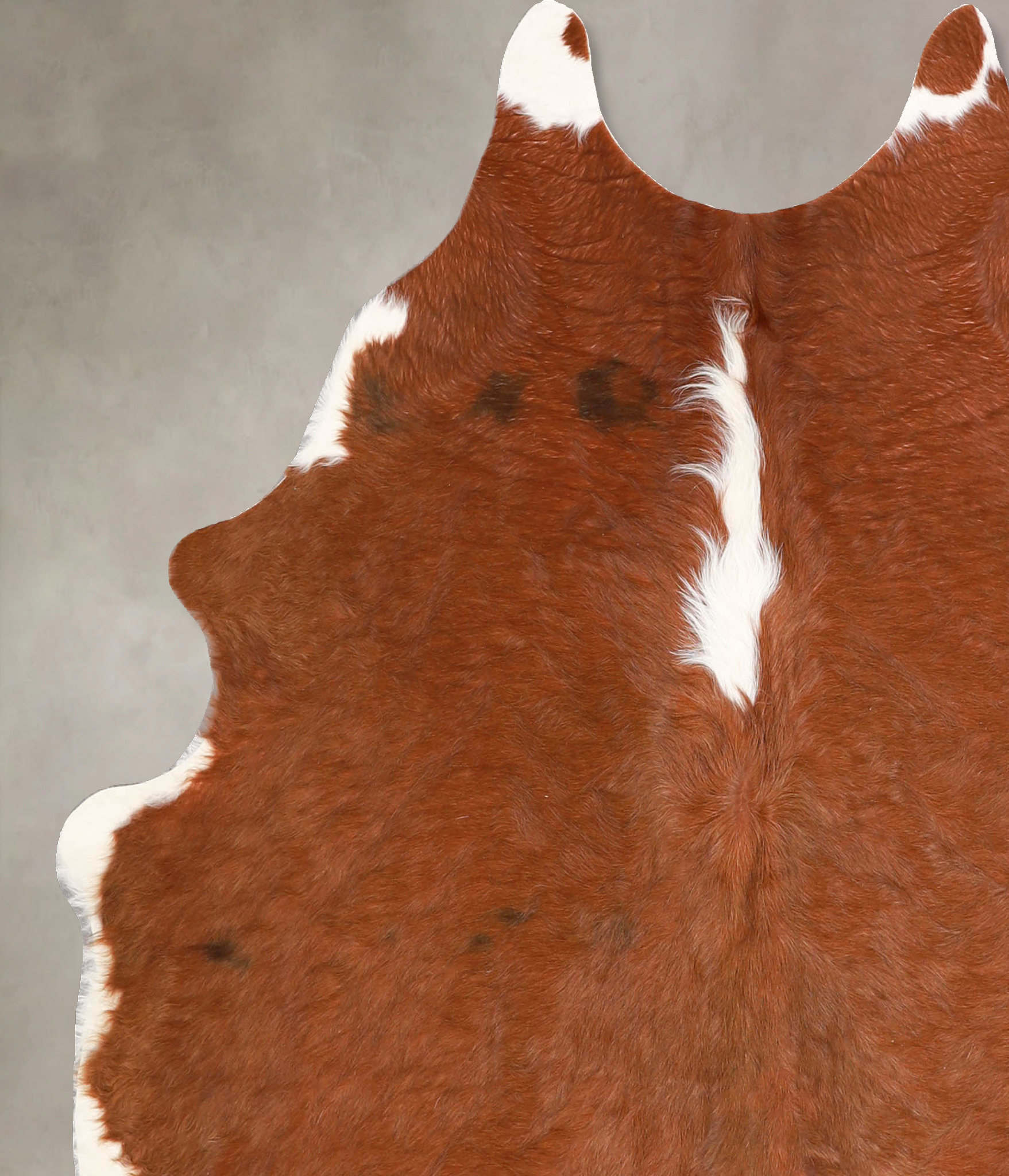 Brown and White Regular Cowhide Rug #A34918