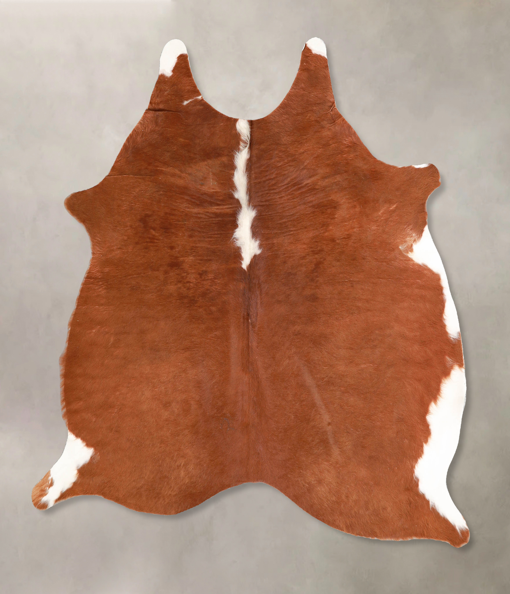 Brown and White Regular Cowhide Rug #A34919