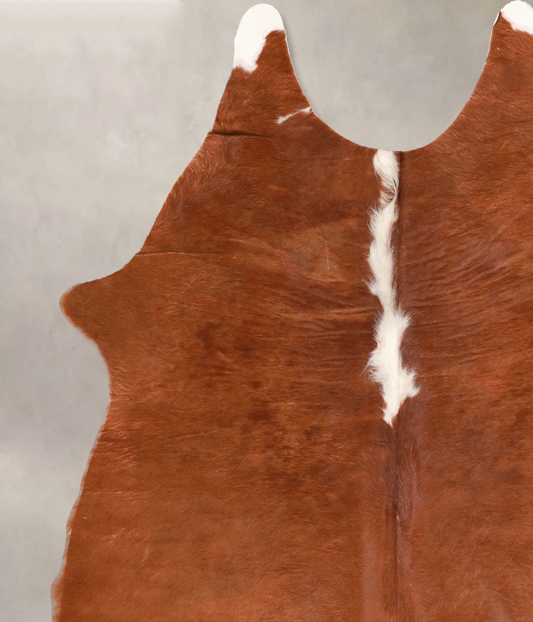 Brown and White Regular Cowhide Rug #A34919