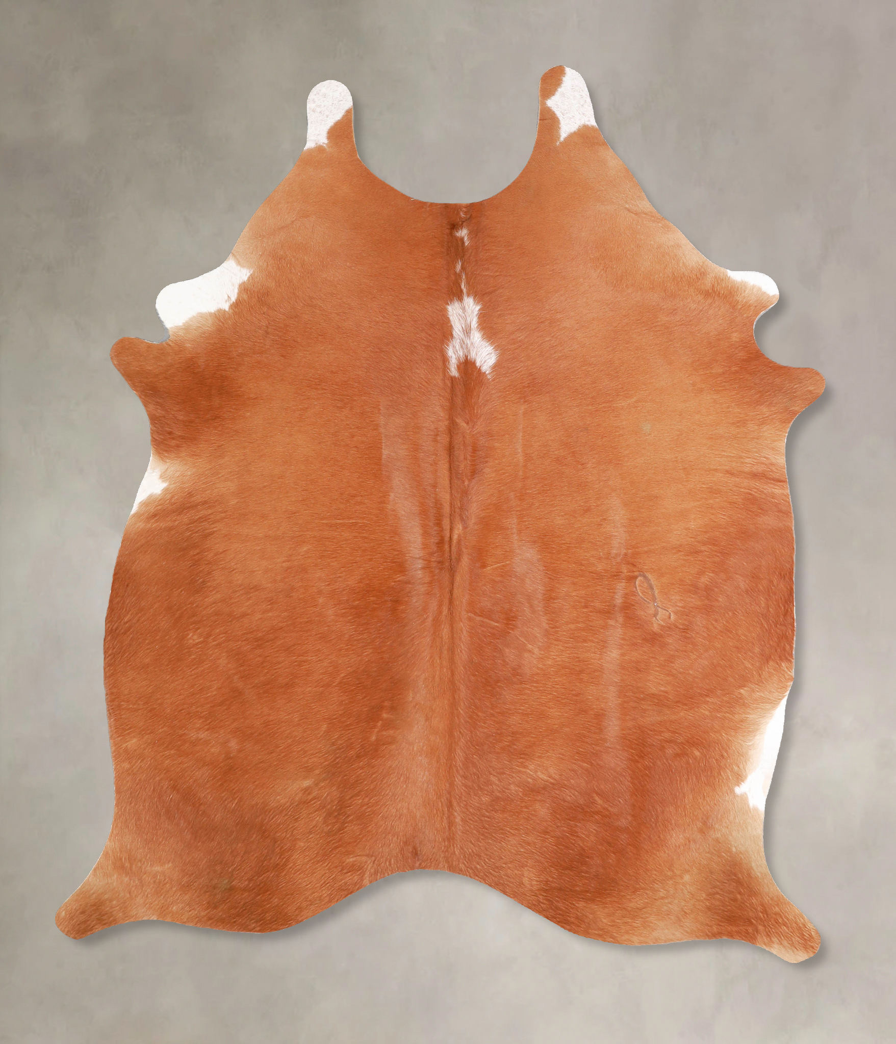 Brown and White Regular Cowhide Rug #A34920