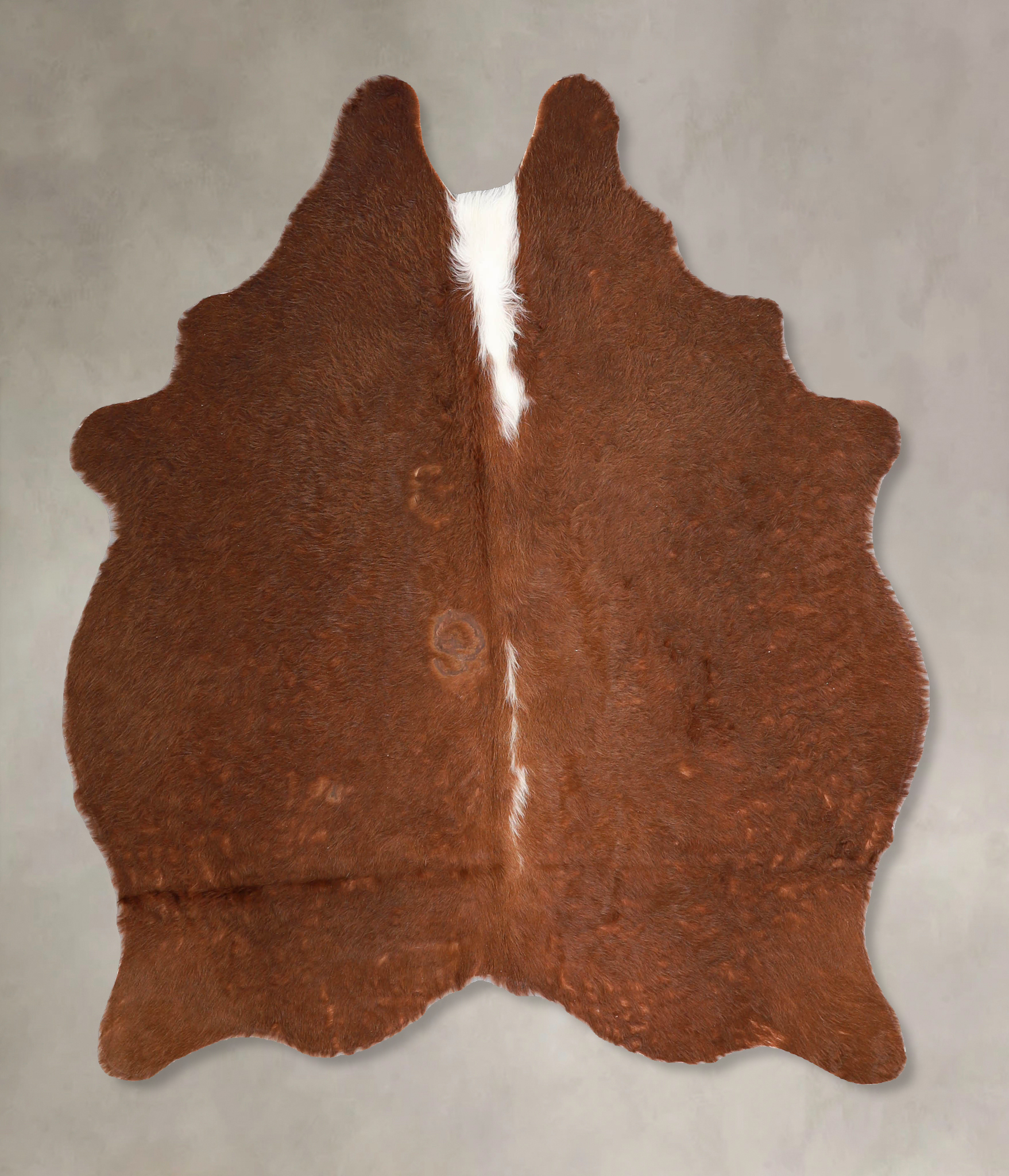 Brown and White Regular Cowhide Rug #A34921