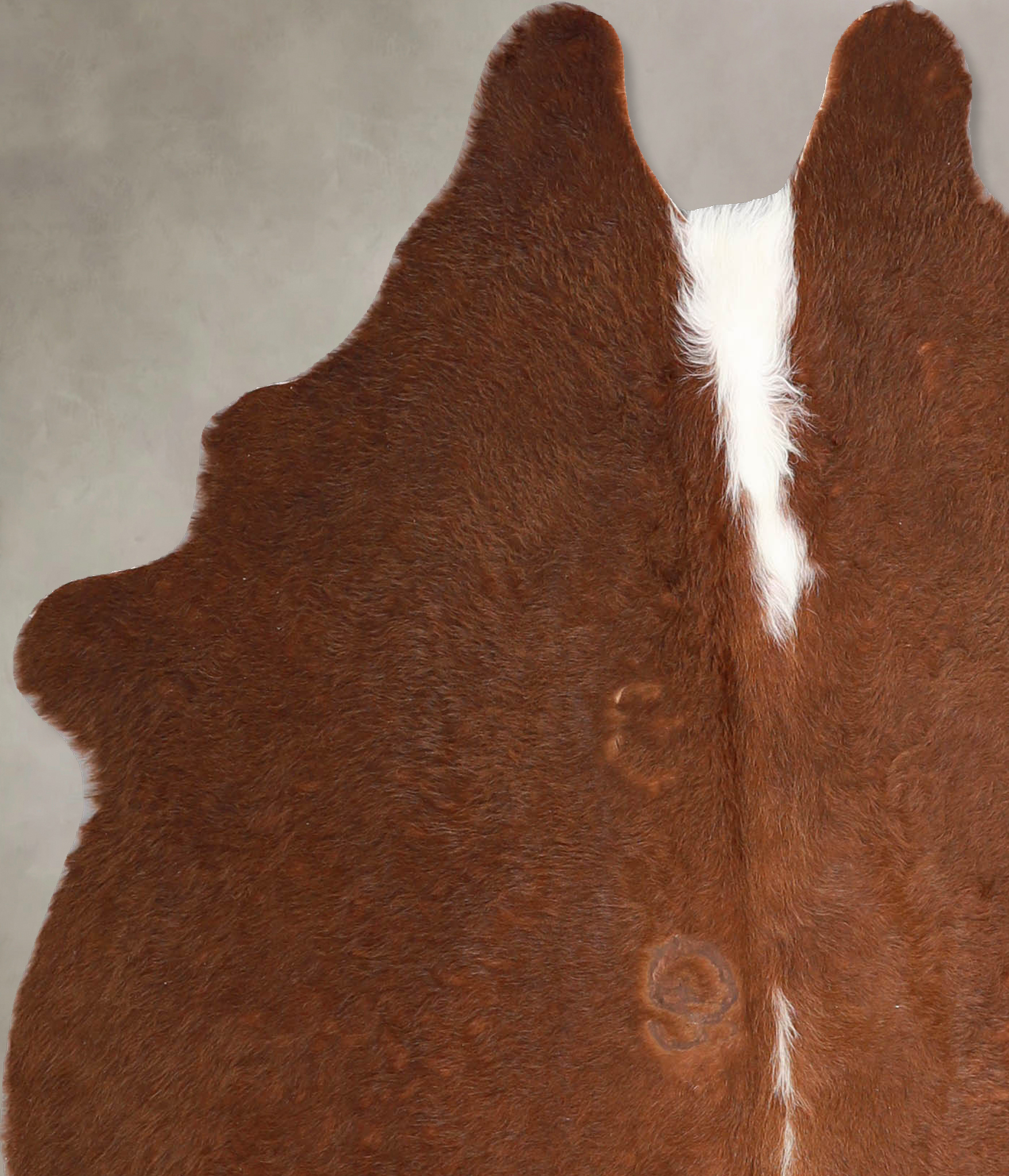 Brown and White Regular Cowhide Rug #A34921