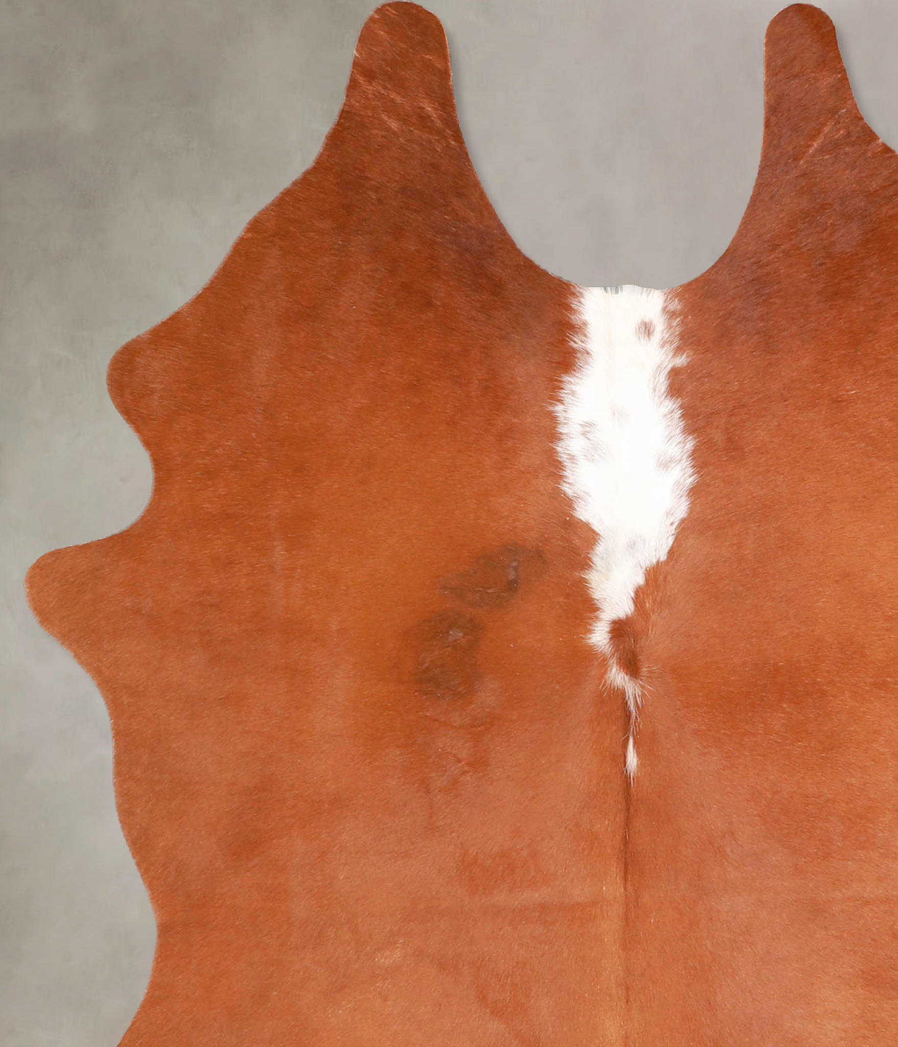 Brown and White Regular Cowhide Rug #A34930