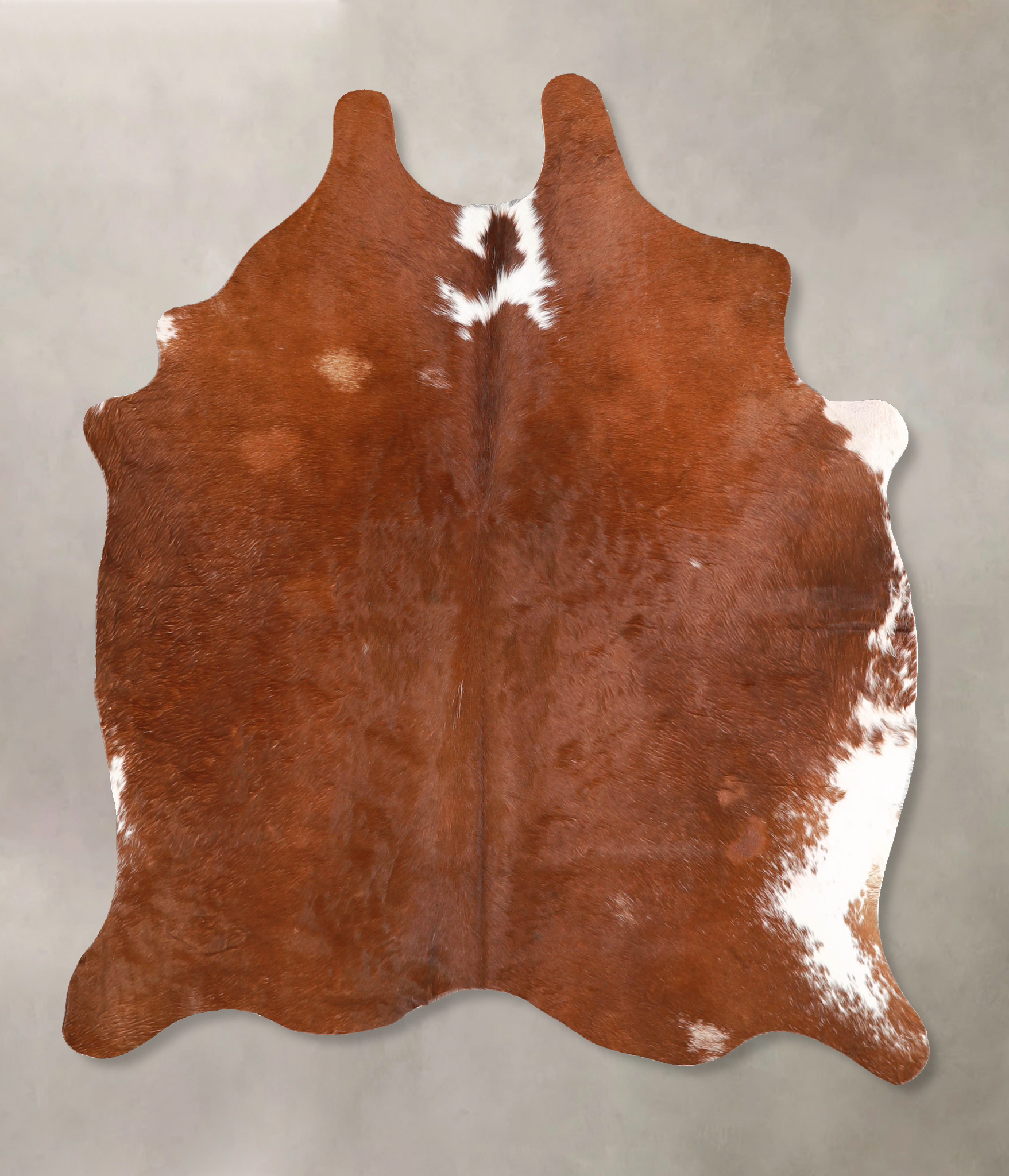 Brown and White Regular Cowhide Rug #A34938