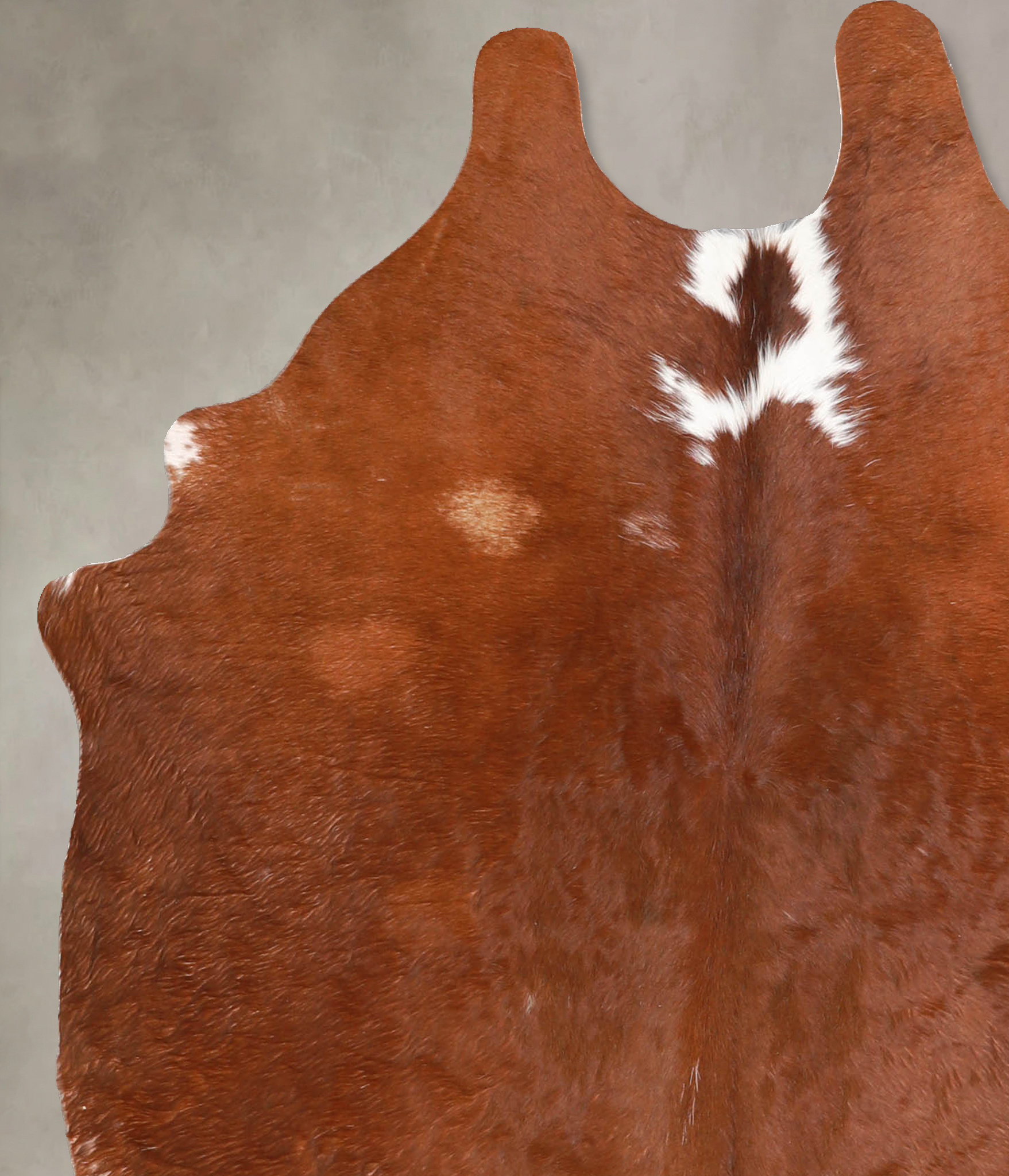 Brown and White Regular Cowhide Rug #A34938