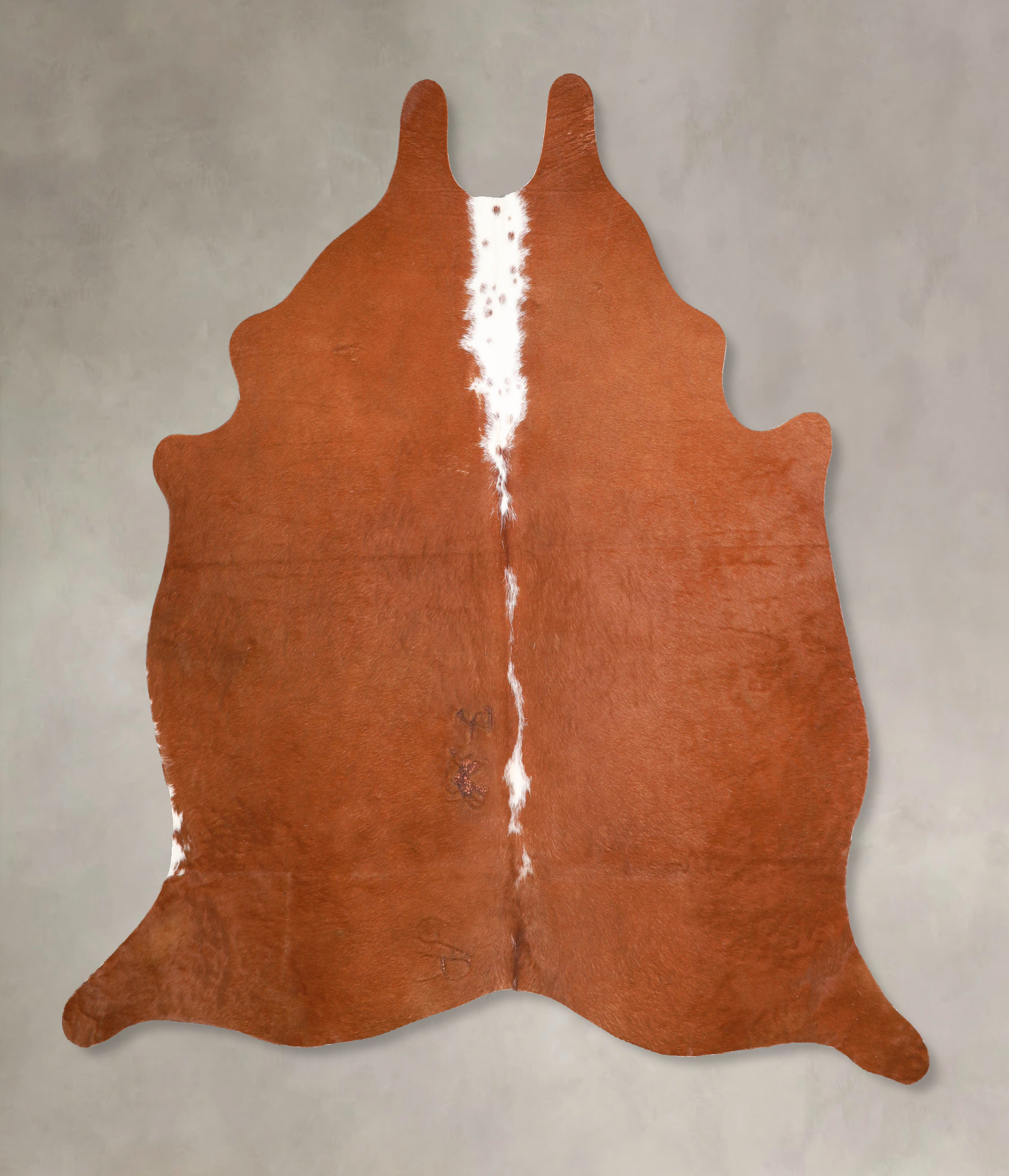 Brown and White Regular Cowhide Rug #A34939