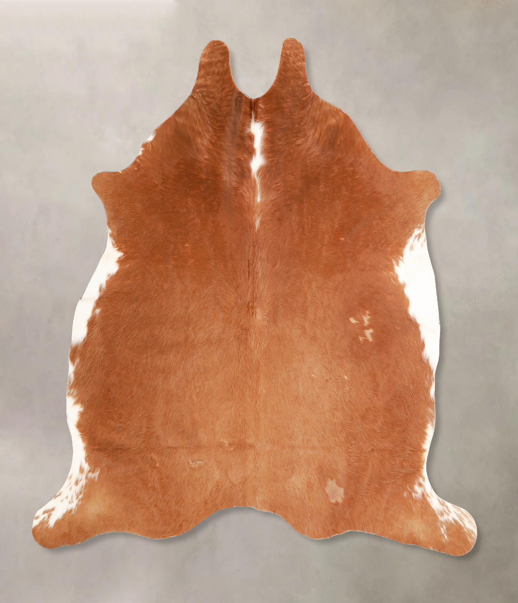 Brown and White Regular Cowhide Rug #A34940