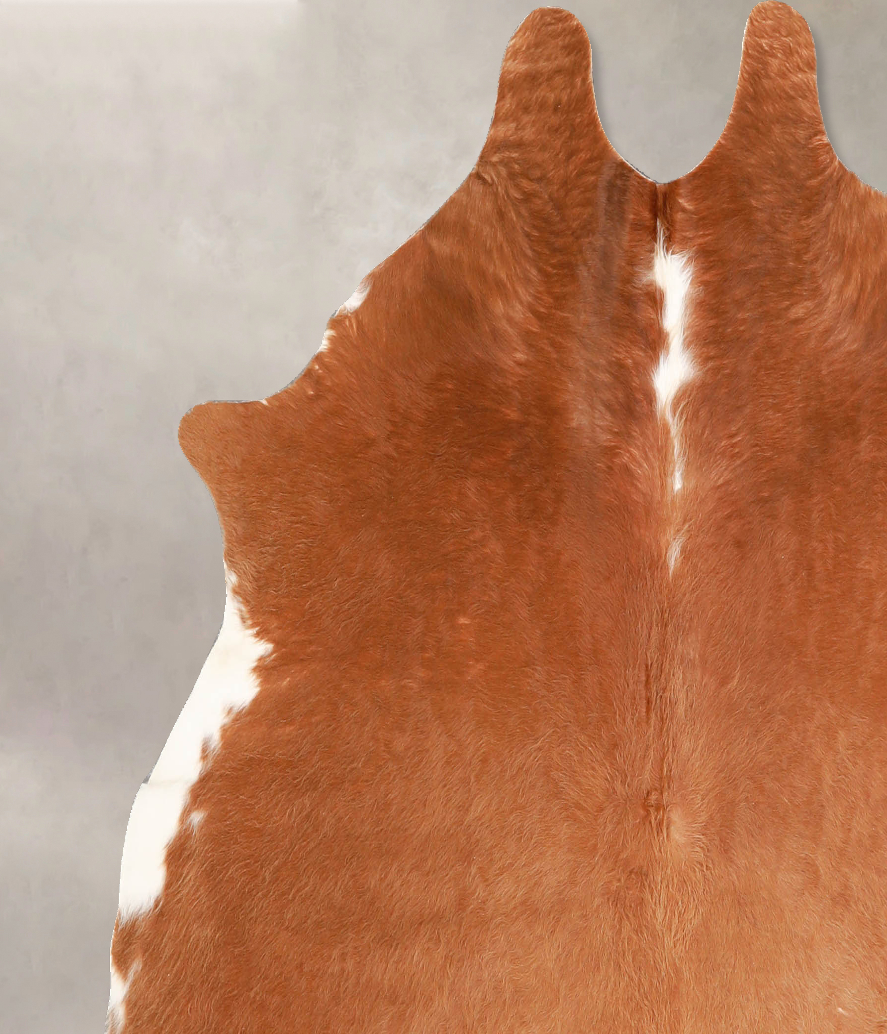 Brown and White Regular Cowhide Rug #A34940