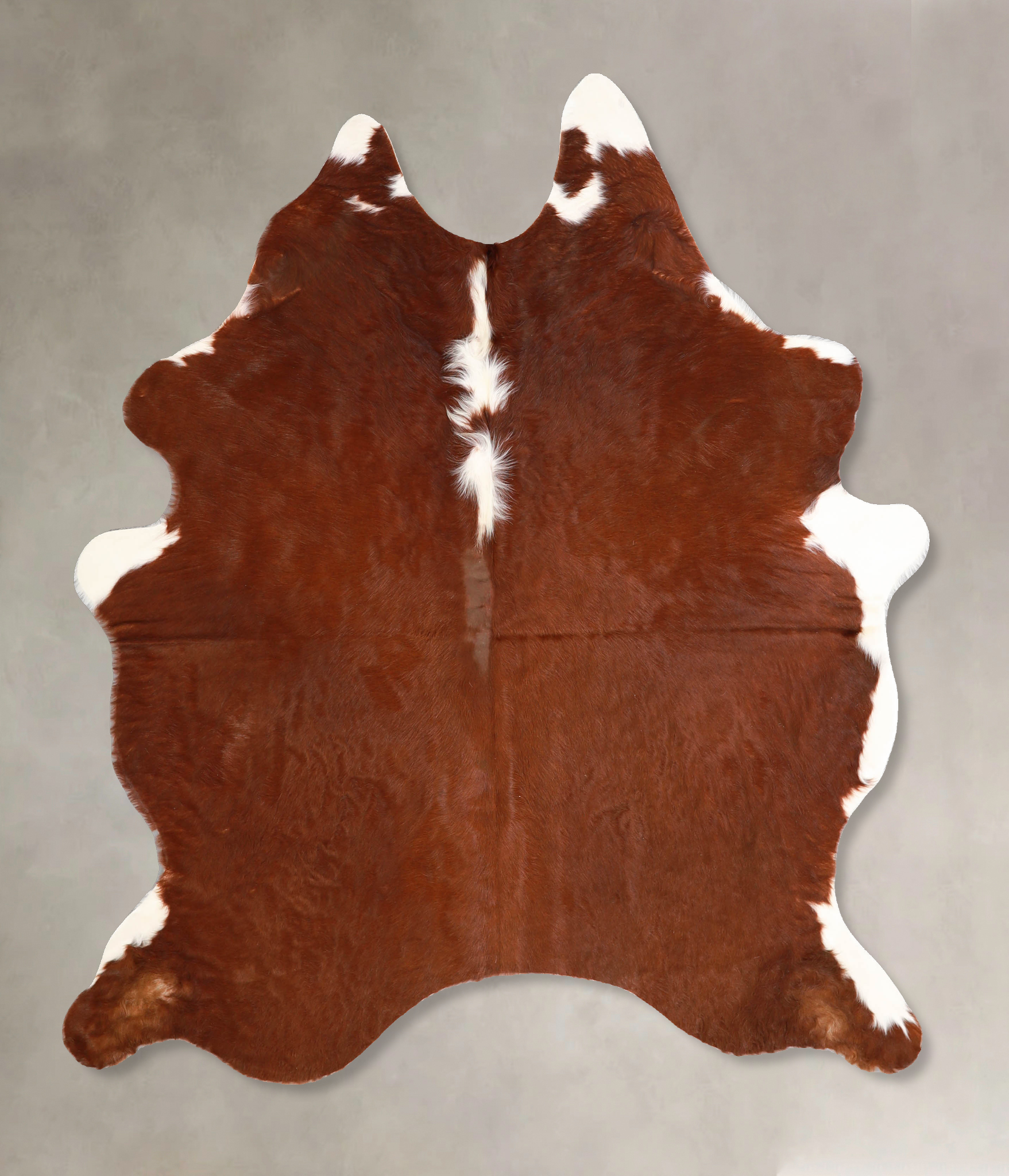 Brown and White Regular Cowhide Rug #A34954