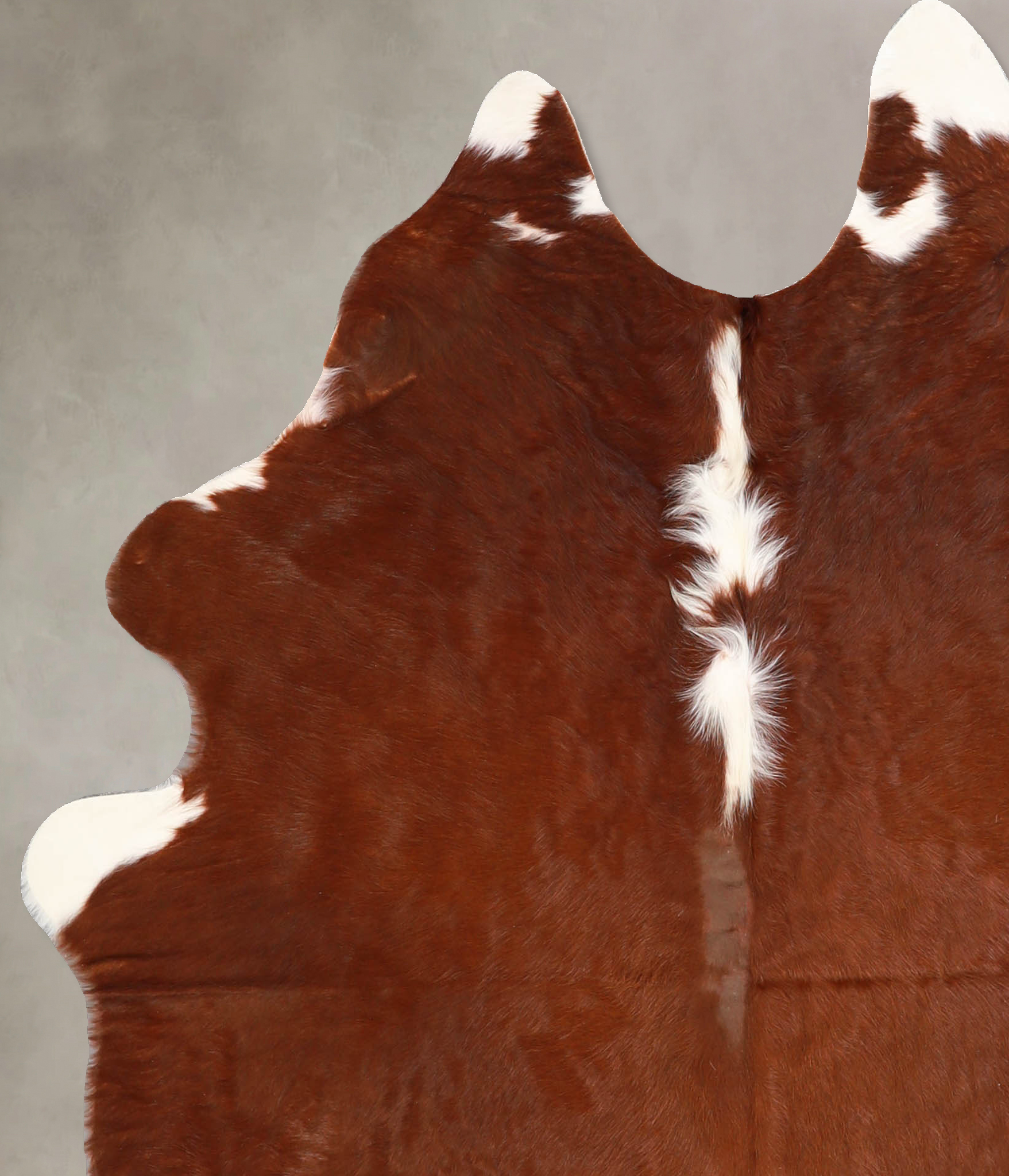 Brown and White Regular Cowhide Rug #A34954