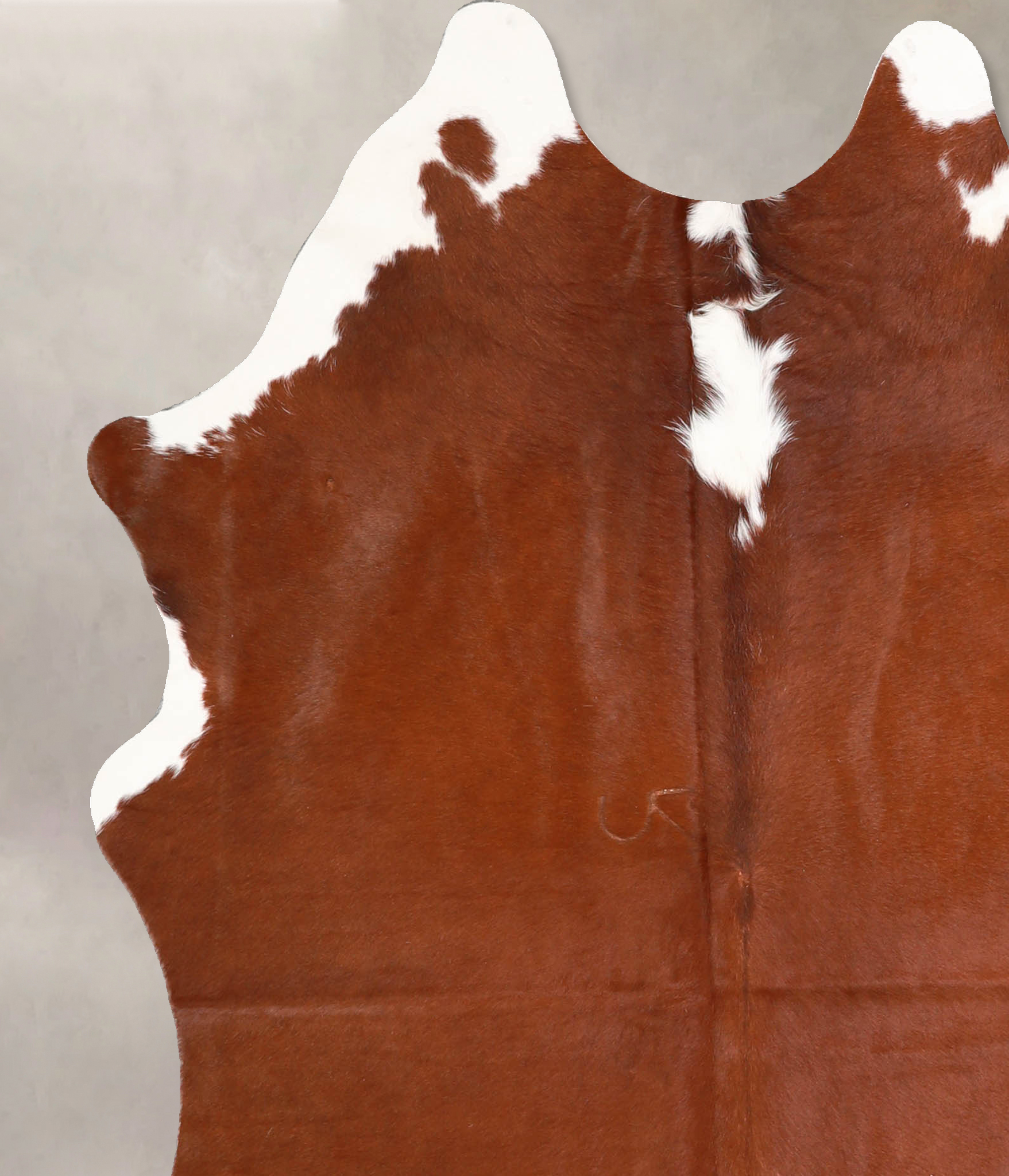 Brown and White Regular Cowhide Rug #A34956