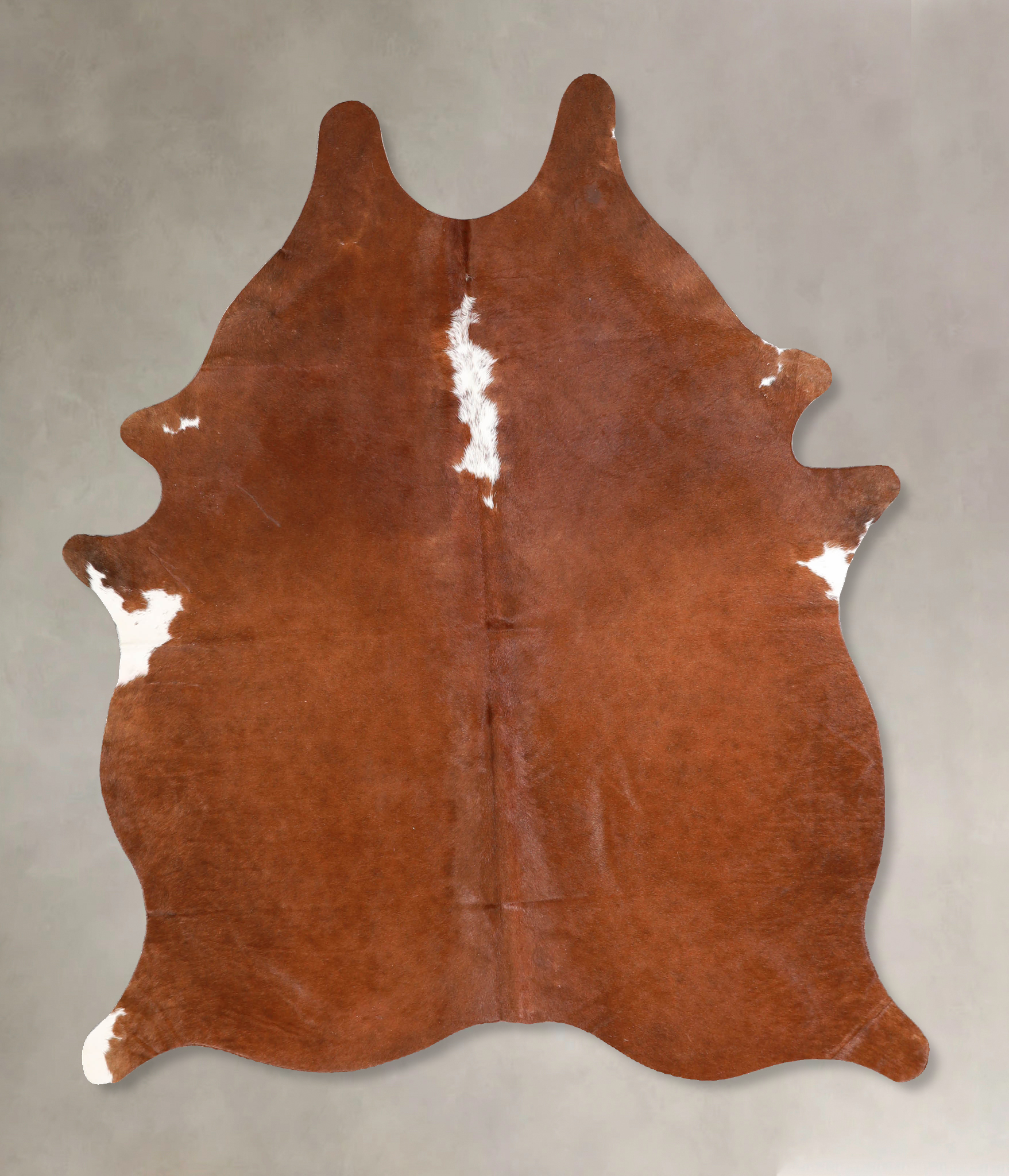 Brown and White Regular Cowhide Rug #A34957