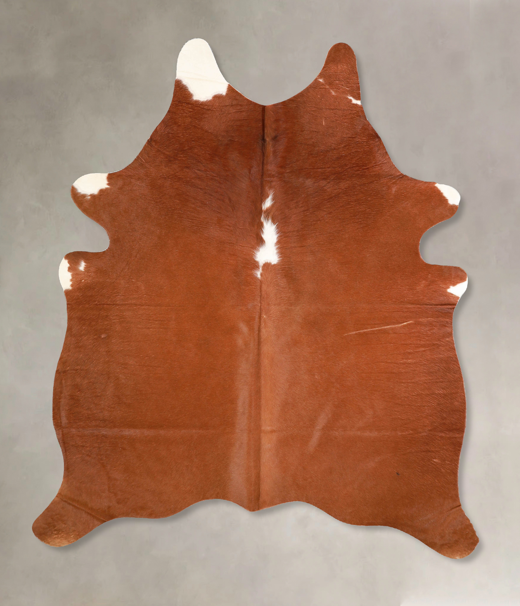 Brown and White Regular Cowhide Rug #A34959