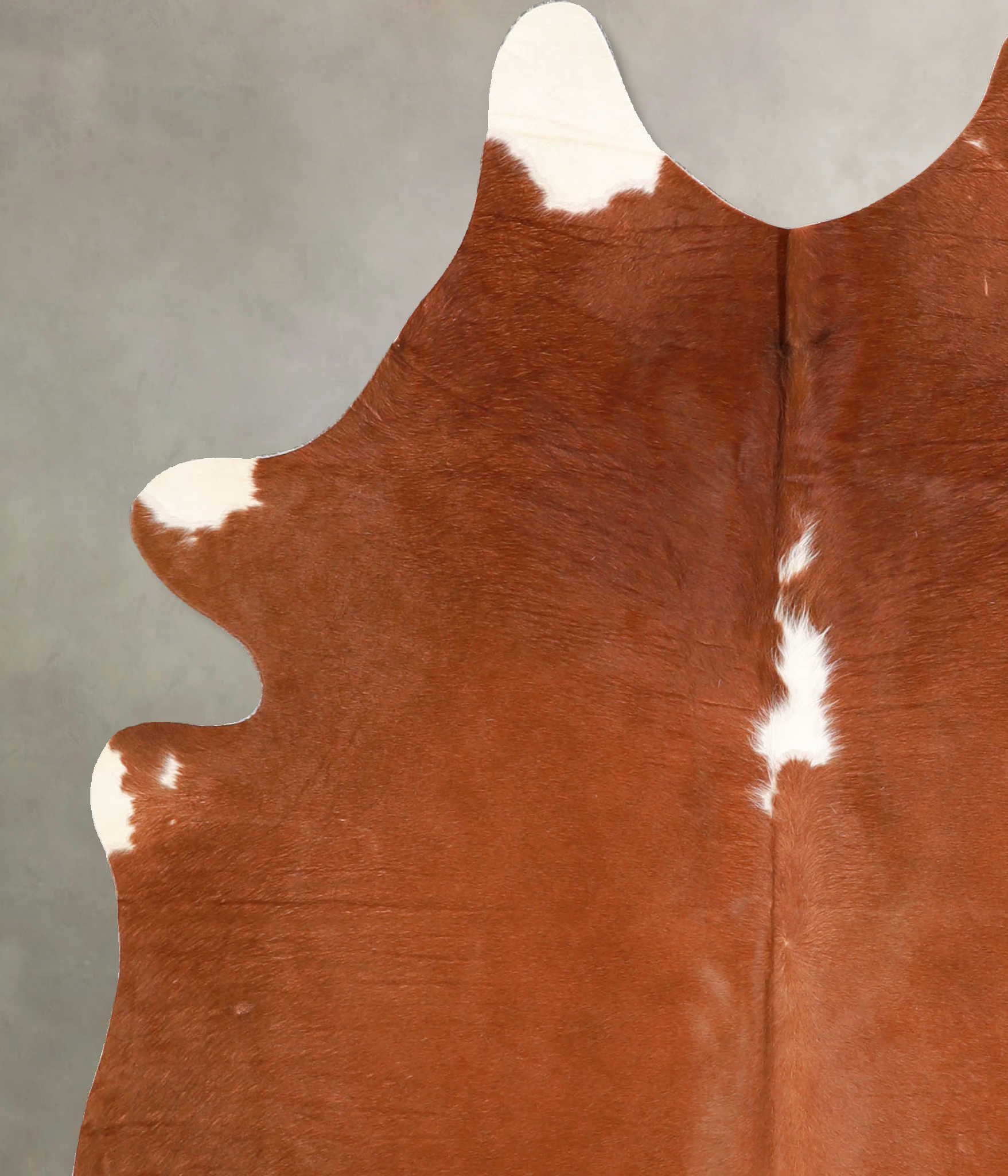 Brown and White Regular Cowhide Rug #A34959