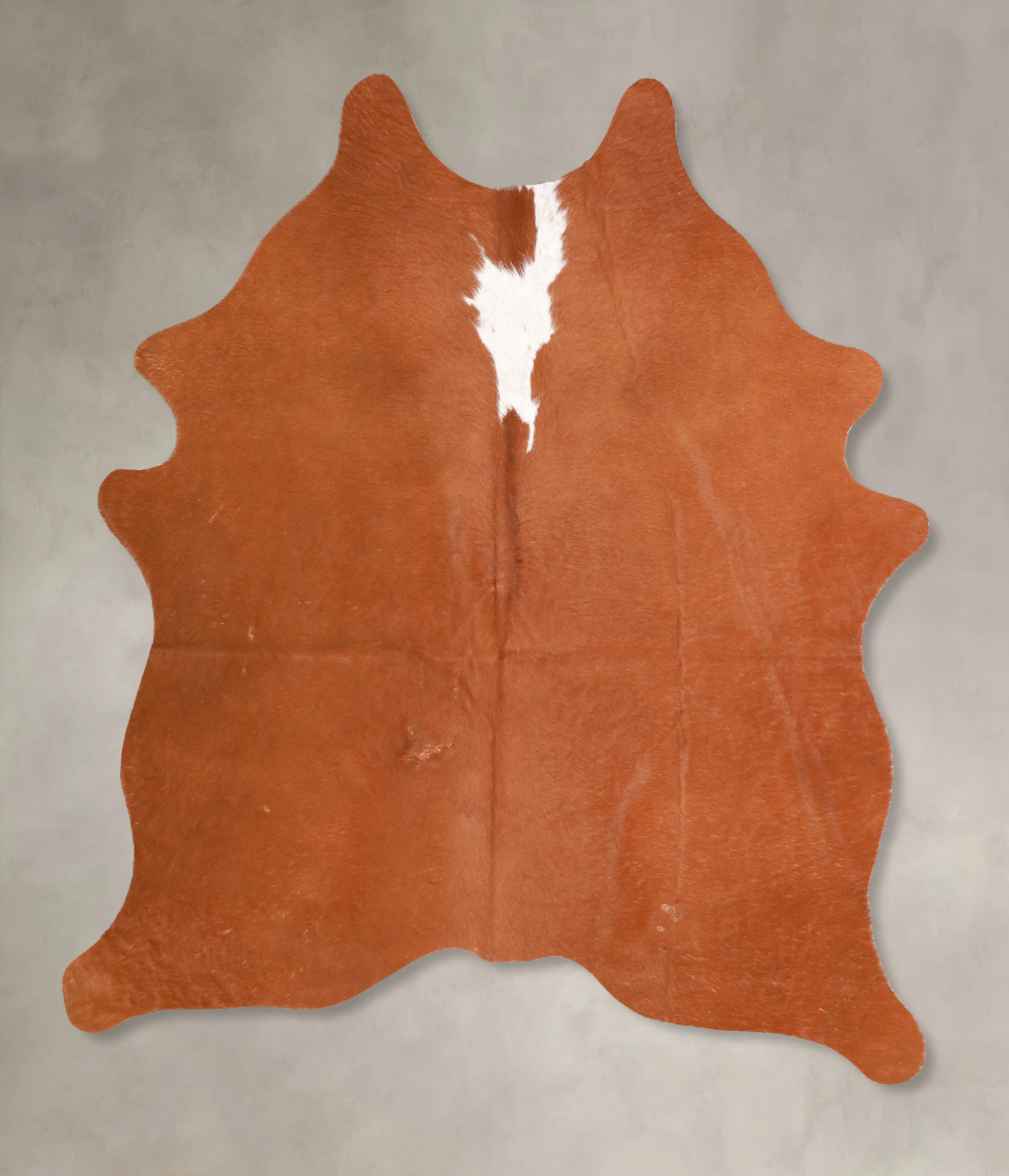 Brown and White Regular Cowhide Rug #A34969