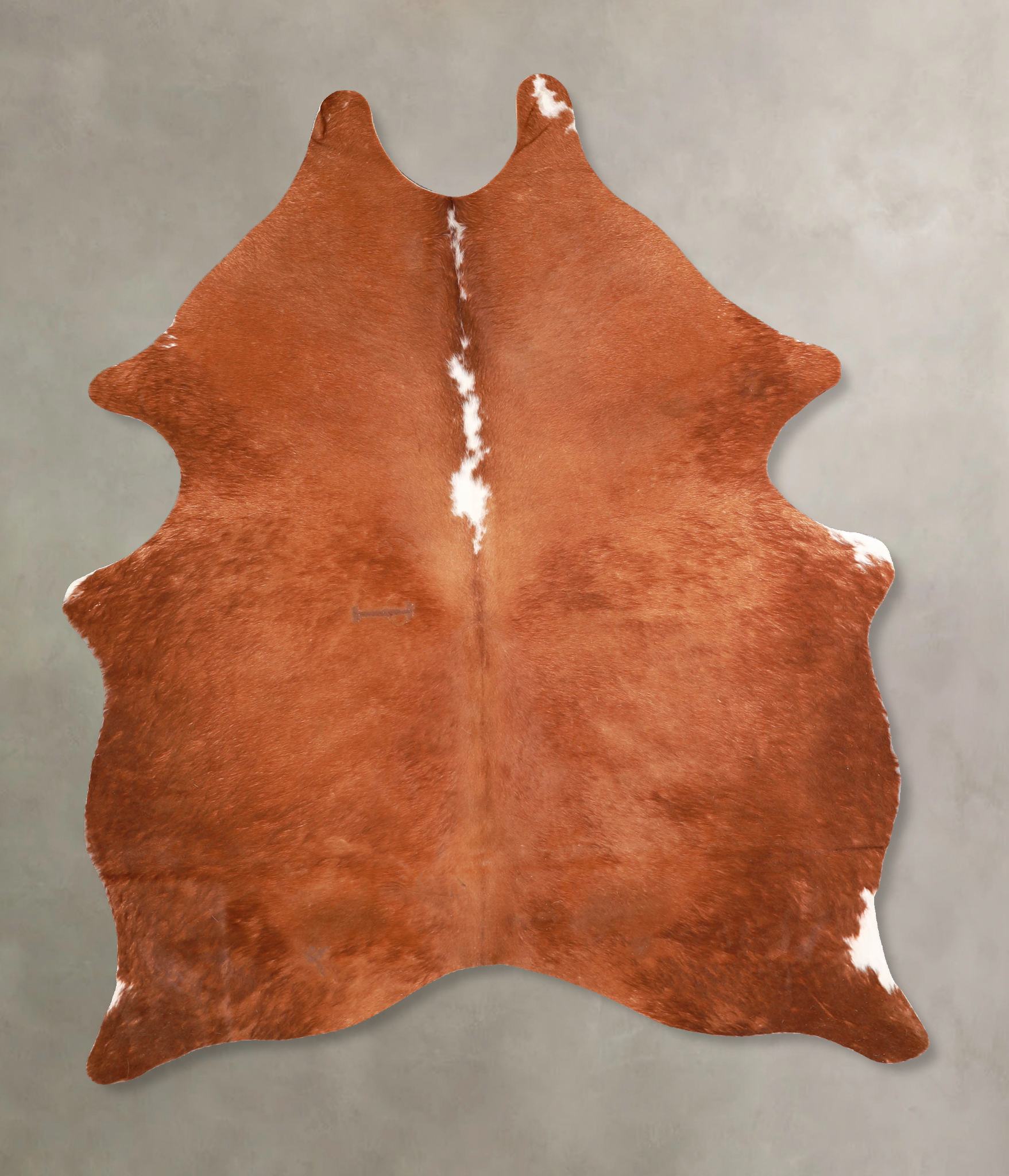 Brown and White Regular Cowhide Rug #A34971