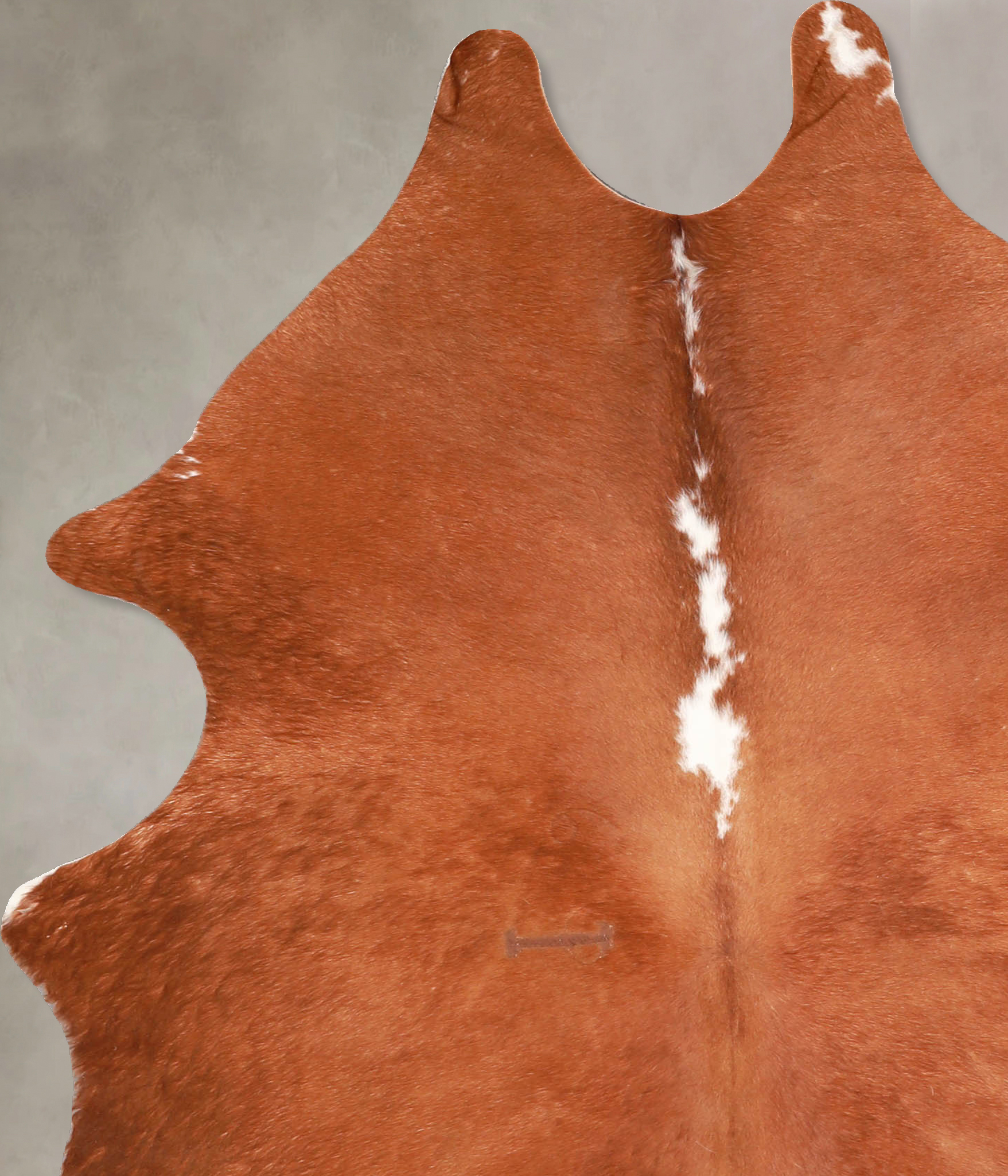 Brown and White Regular Cowhide Rug #A34971