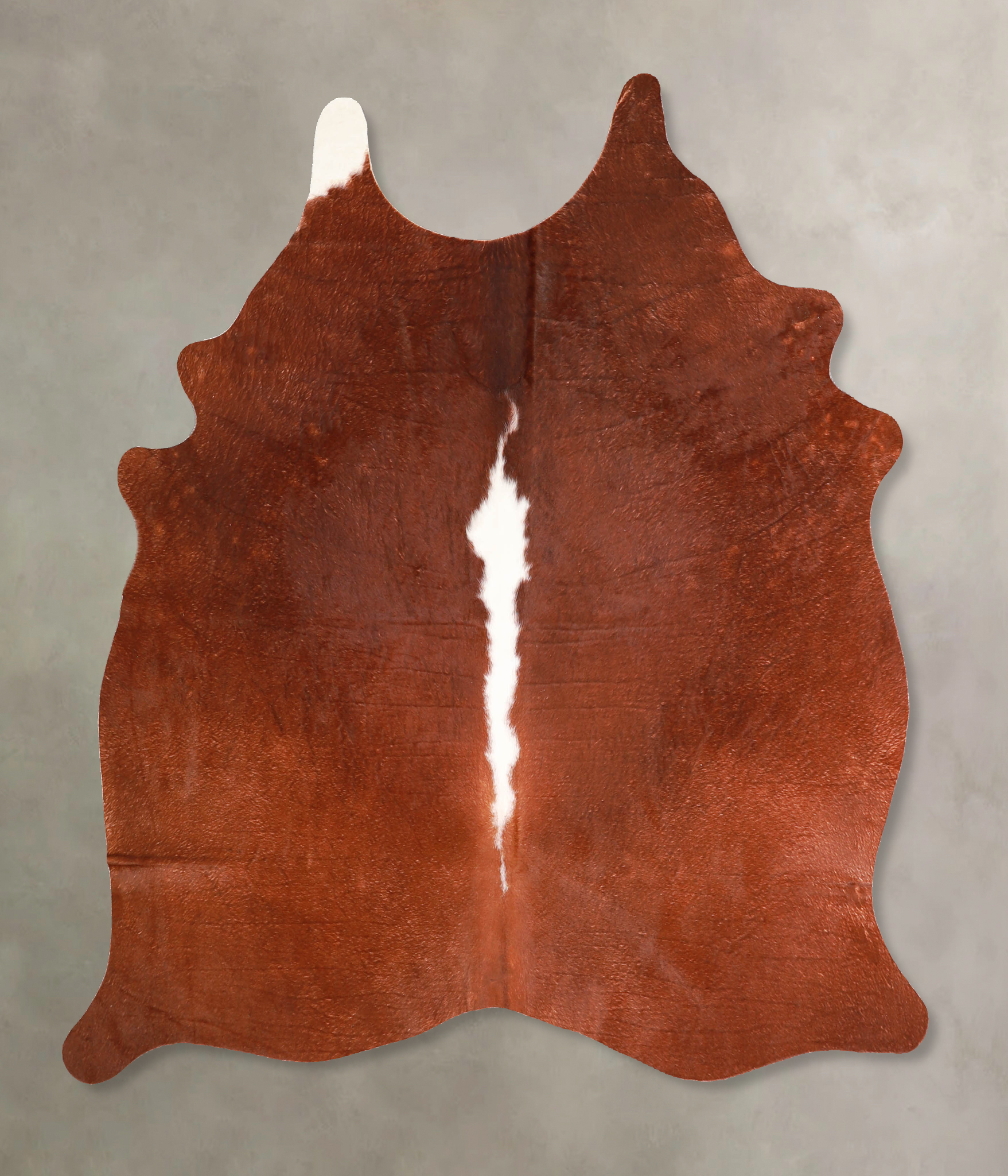 Brown and White Regular Cowhide Rug #A34972