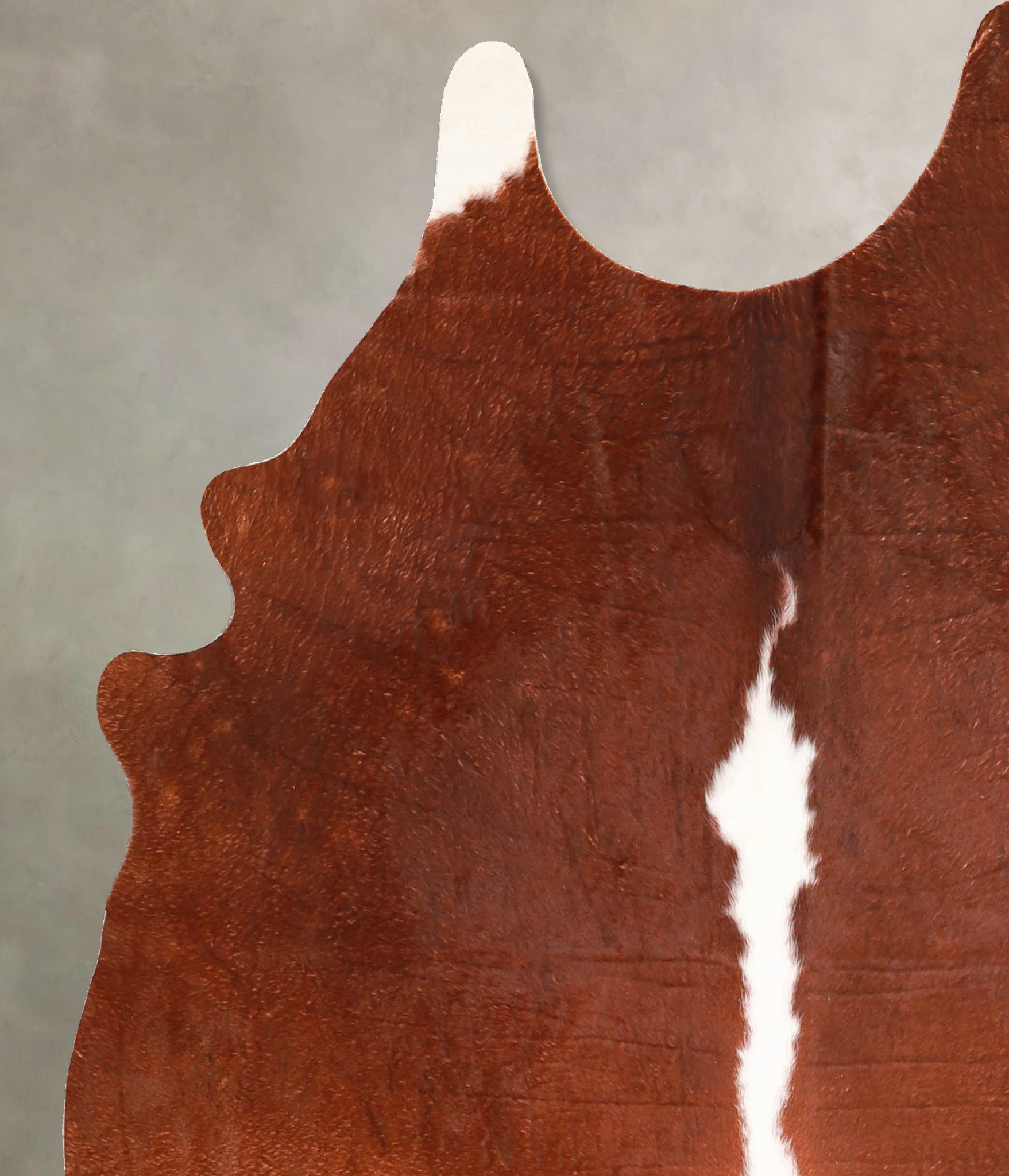 Brown and White Regular Cowhide Rug #A34972