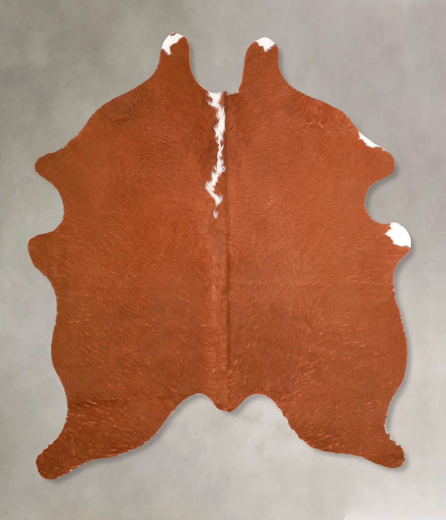 Brown and White Regular Cowhide Rug #A34973