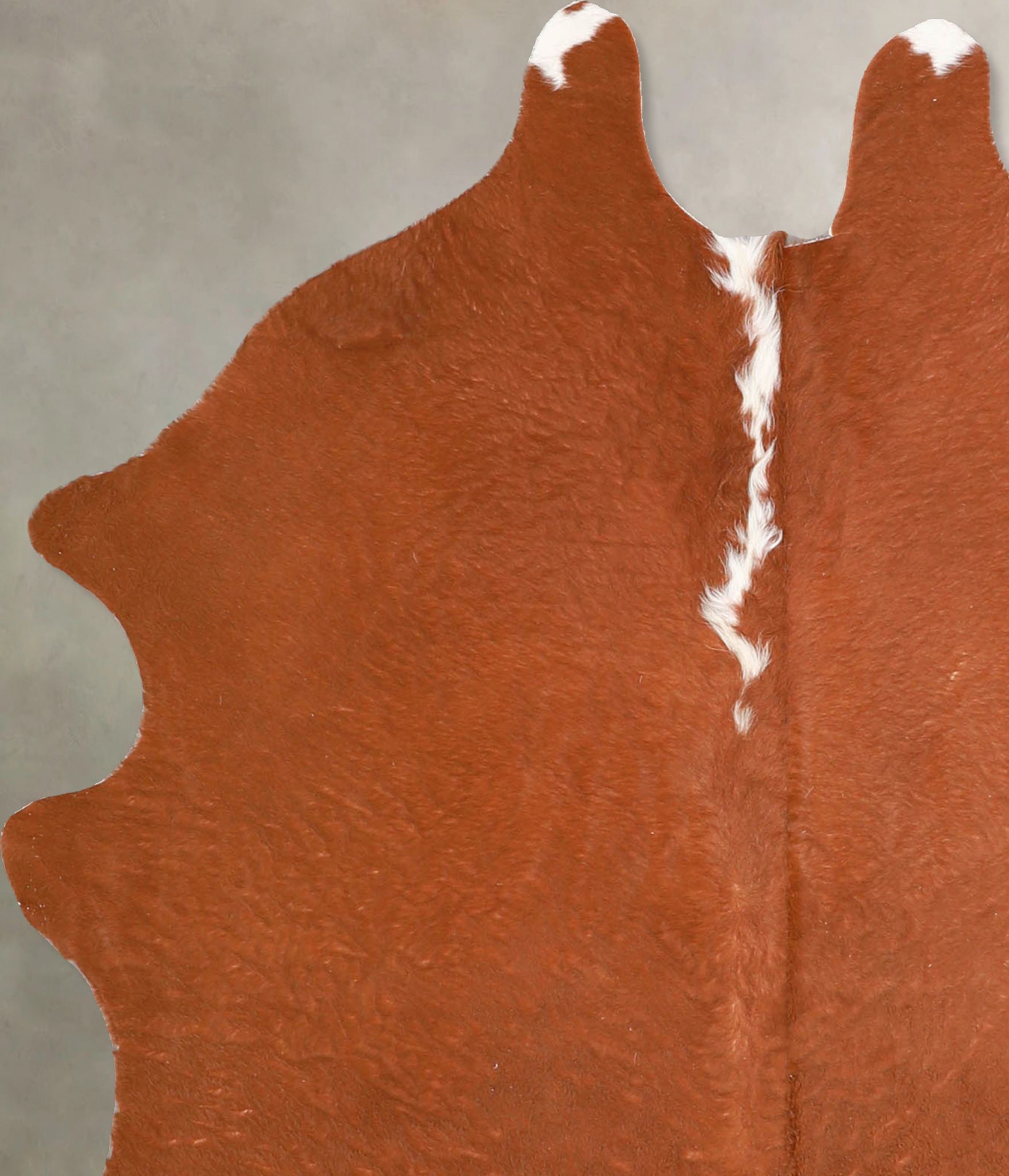 Brown and White Regular Cowhide Rug #A34973