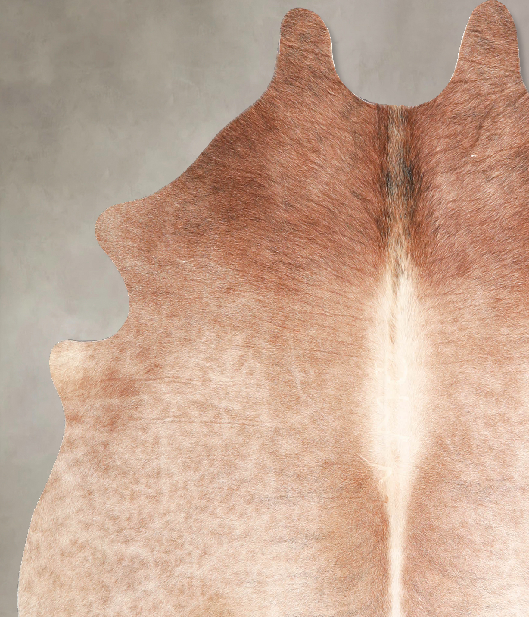 Light Caramel Cowhide Rug #A34989