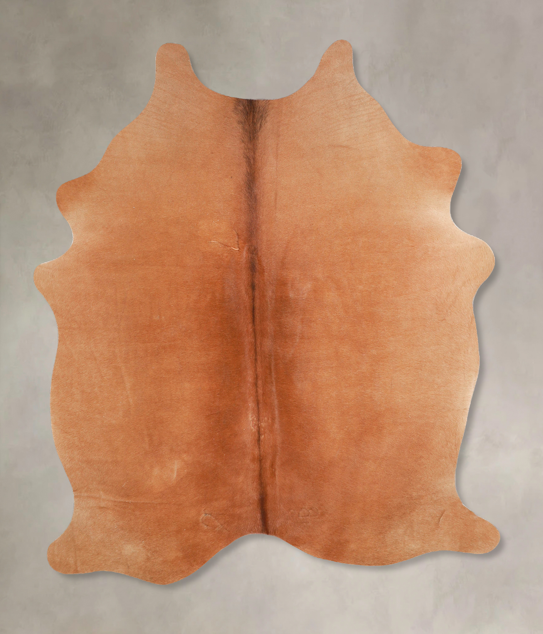 Solid Brown Cowhide Rug #A35012